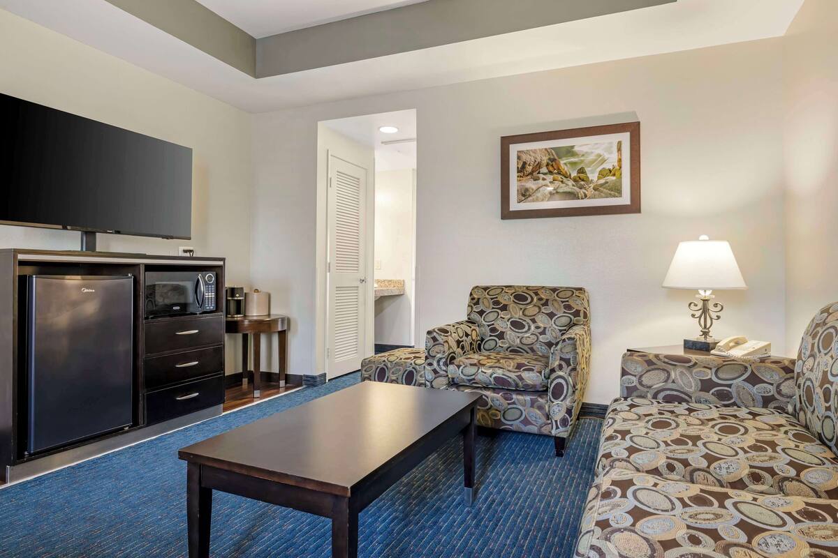 A hotel room with a kitchenette, a flat-screen TV, a patterned sofa, a coffee table, and a framed picture on the wall.