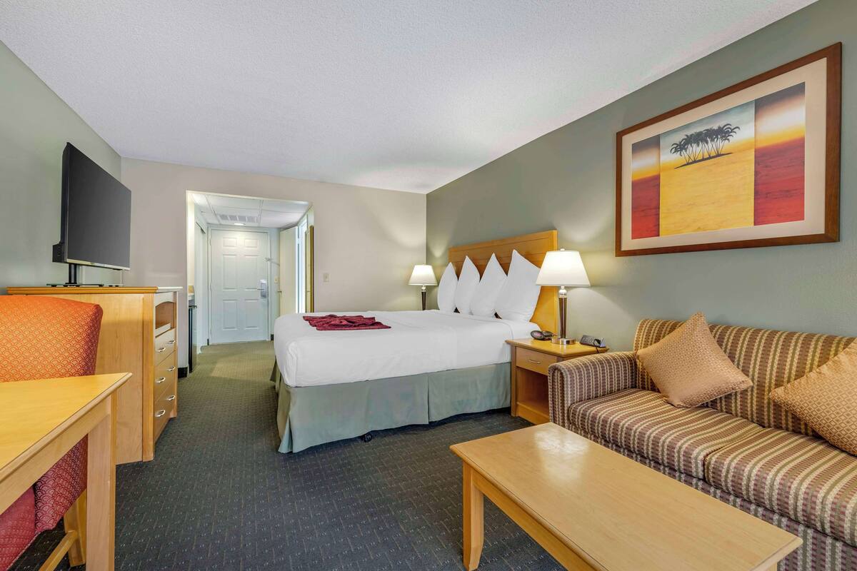 A hotel room with a bed, a sofa, a desk, and a TV.