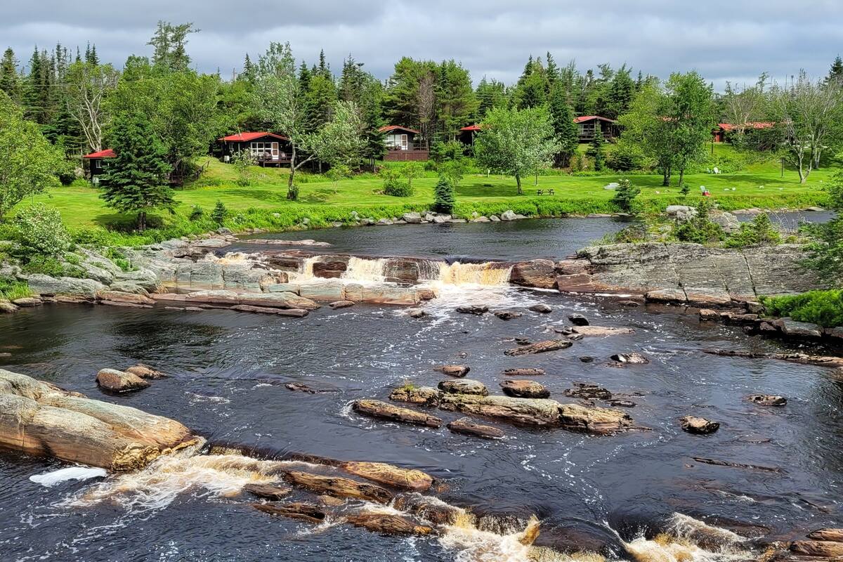 Un río con una cascada, rodeado de árboles verdes y una zona cubierta de hierba con edificios al fondo.