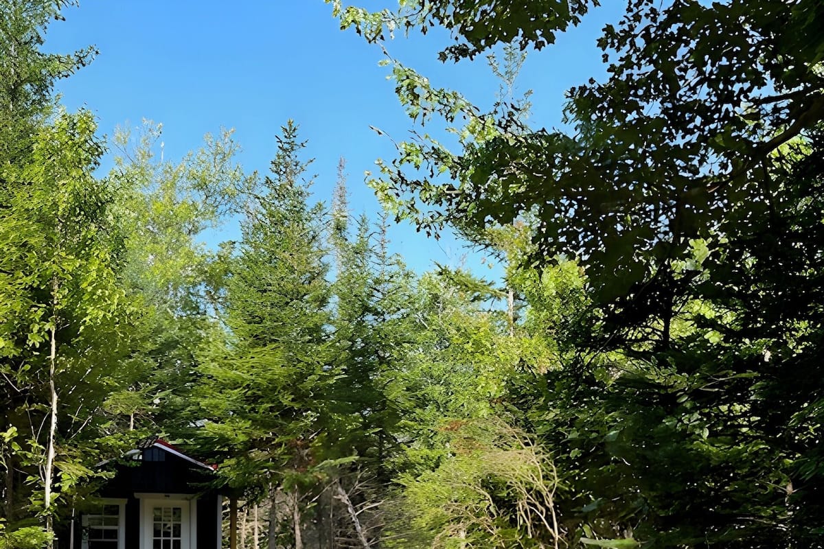 Tent Cabin, 1 Twin Bed