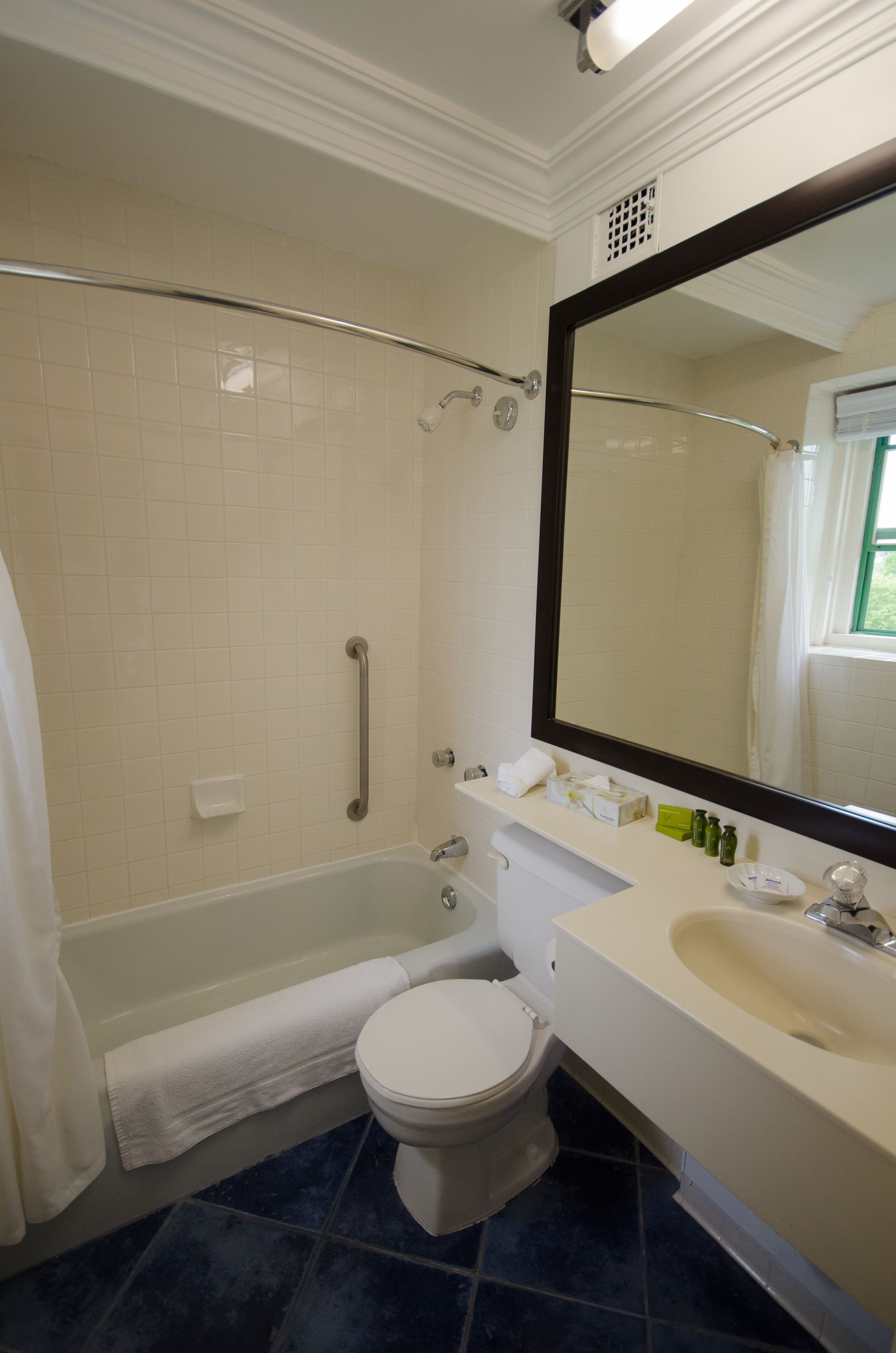 combined shower/bathtub, free toiletries, hair dryer, towels