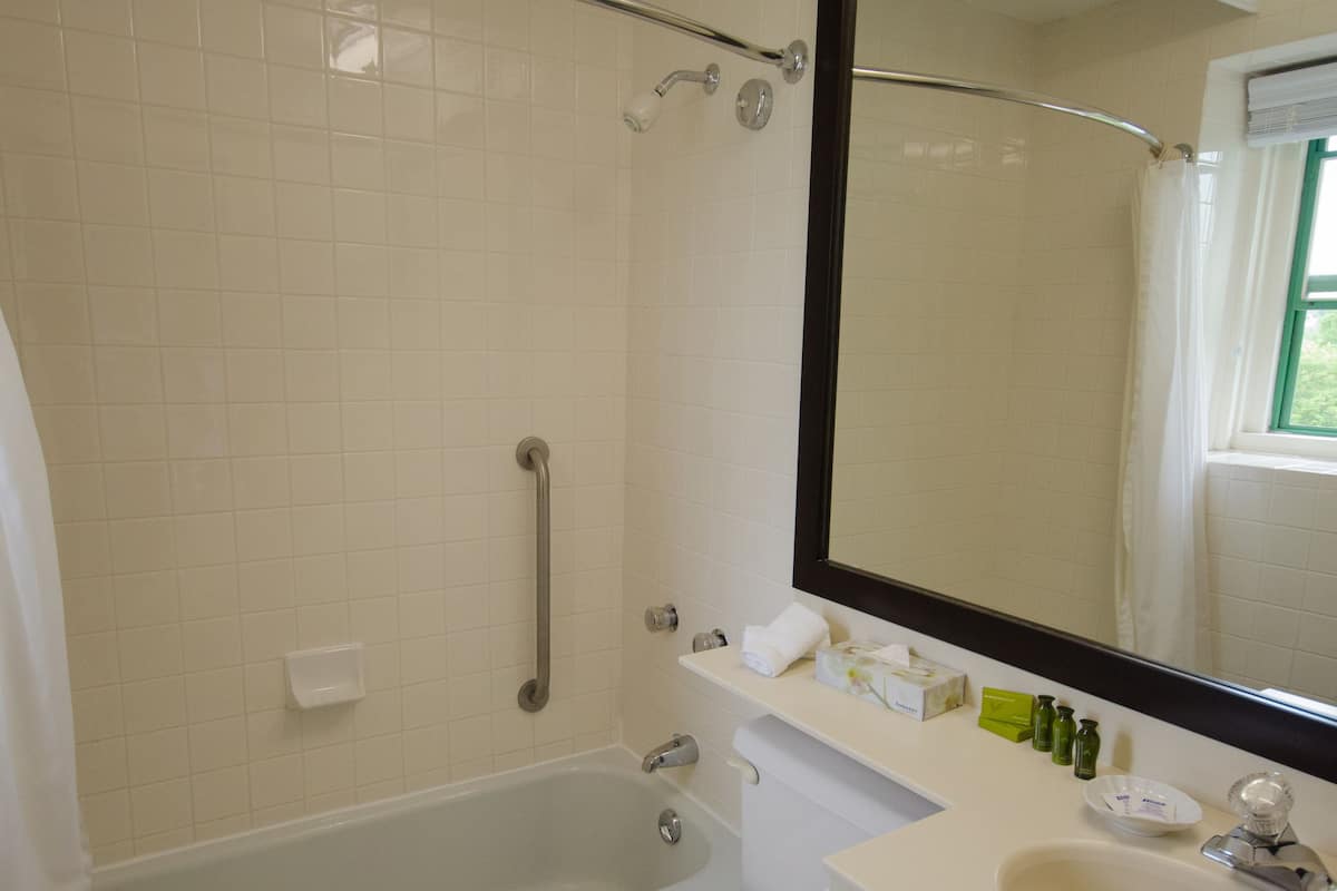combined shower/bathtub, free toiletries, hair dryer, towels