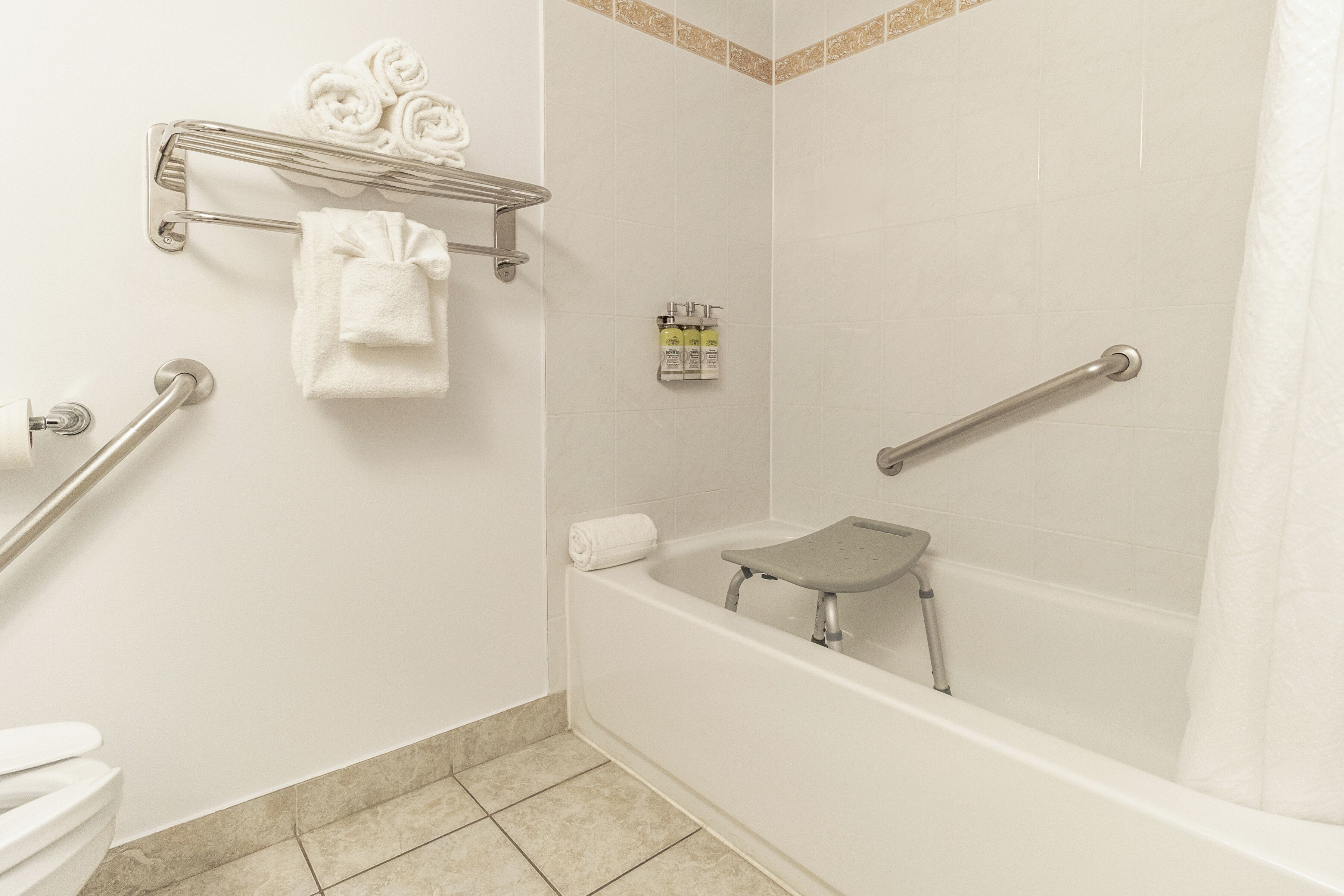 A bathroom with a bathtub, a shower, a toilet, and a handrail.