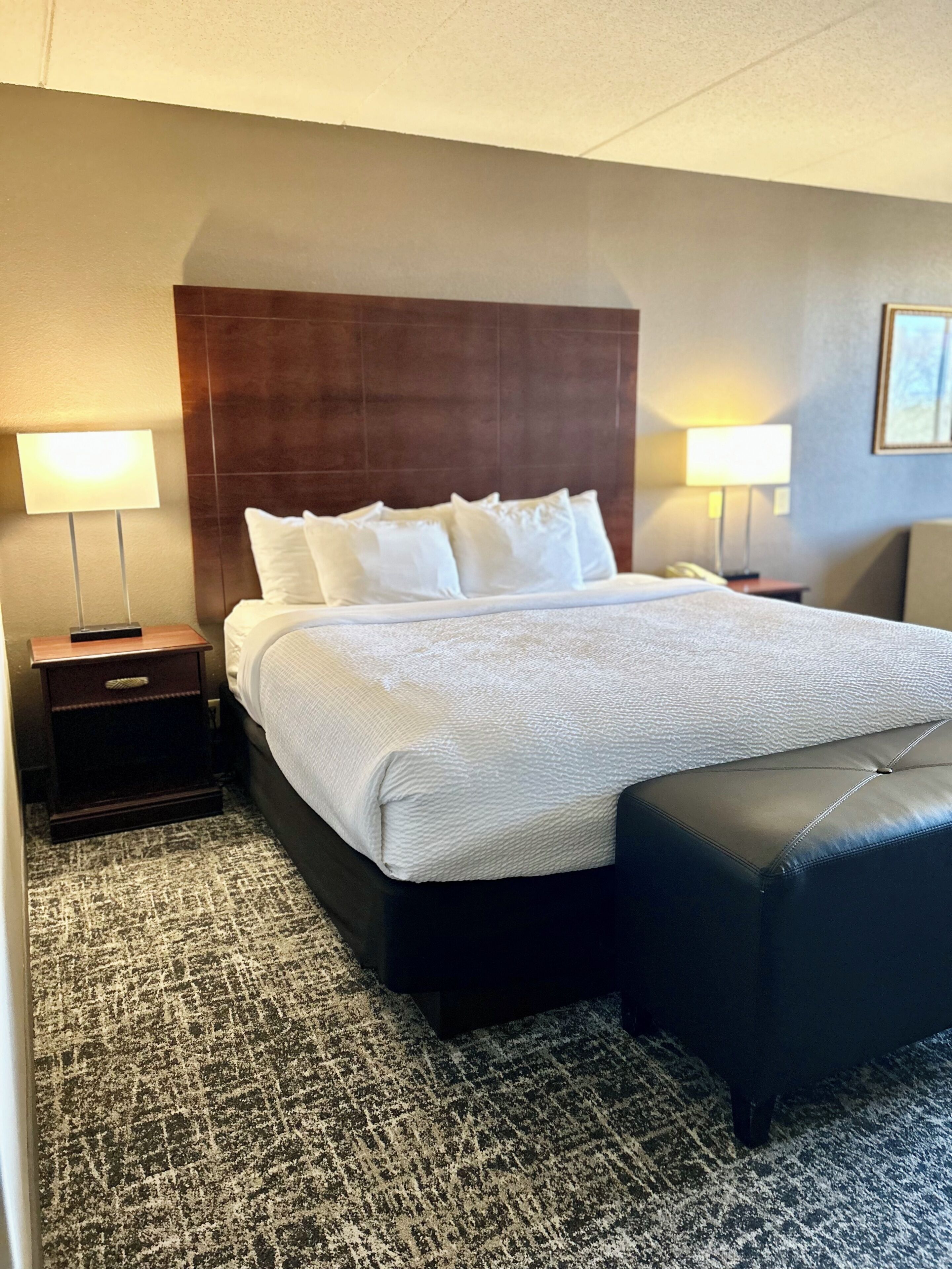 Une chambre d’hôtel avec un grand lit, deux tables de chevet, une tête de lit et un sol recouvert de moquette.