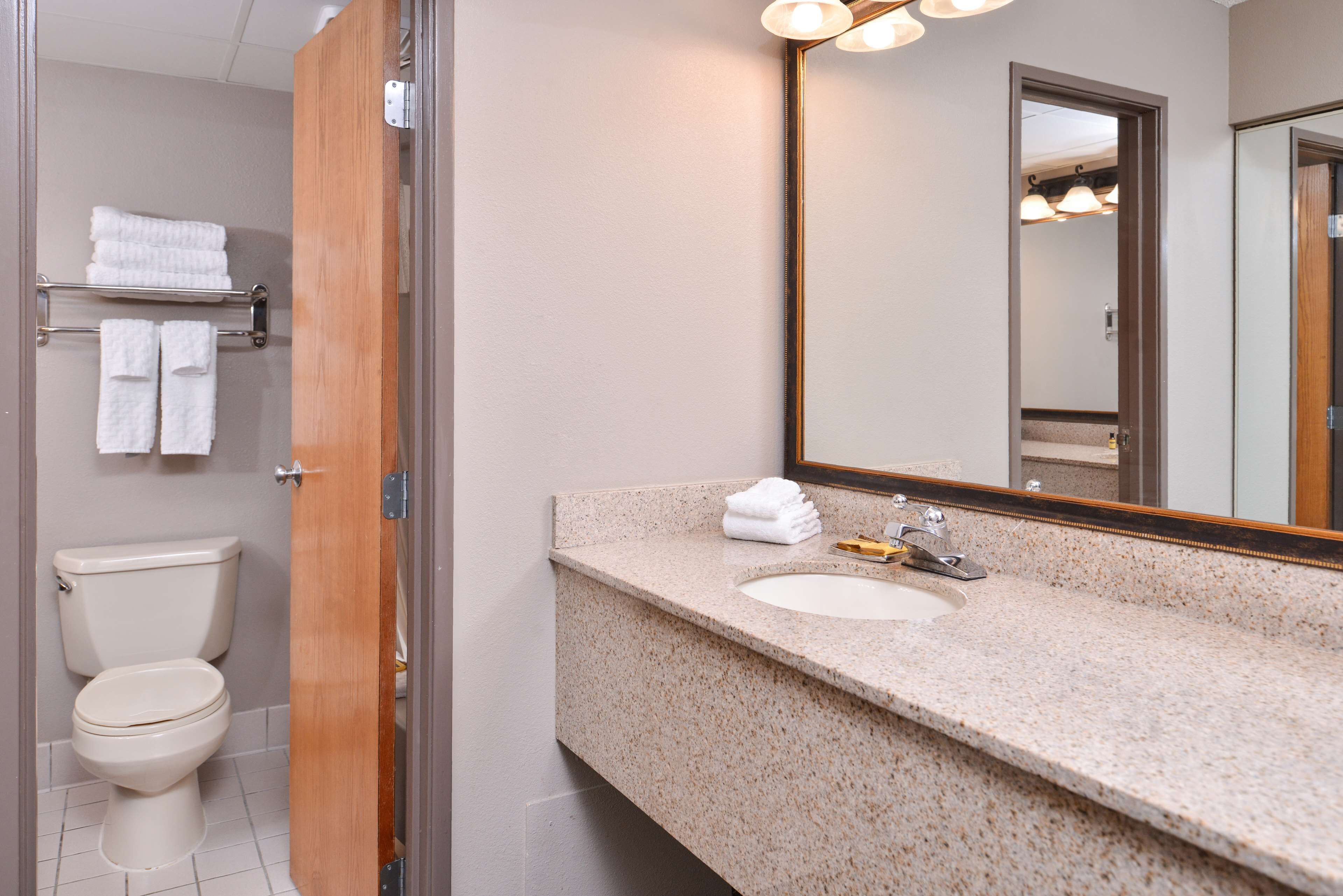 A bathroom with a toilet, sink, and mirror.
