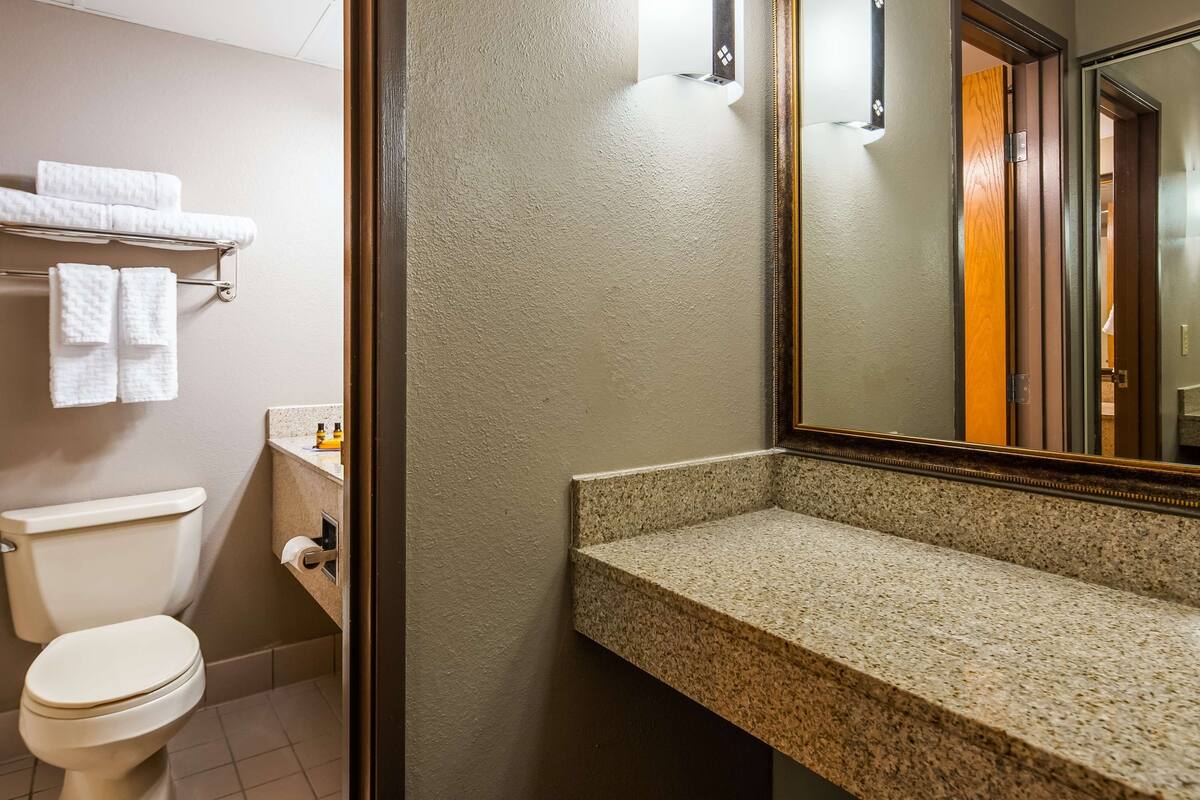 combined shower/bathtub, free toiletries, hair dryer, towels