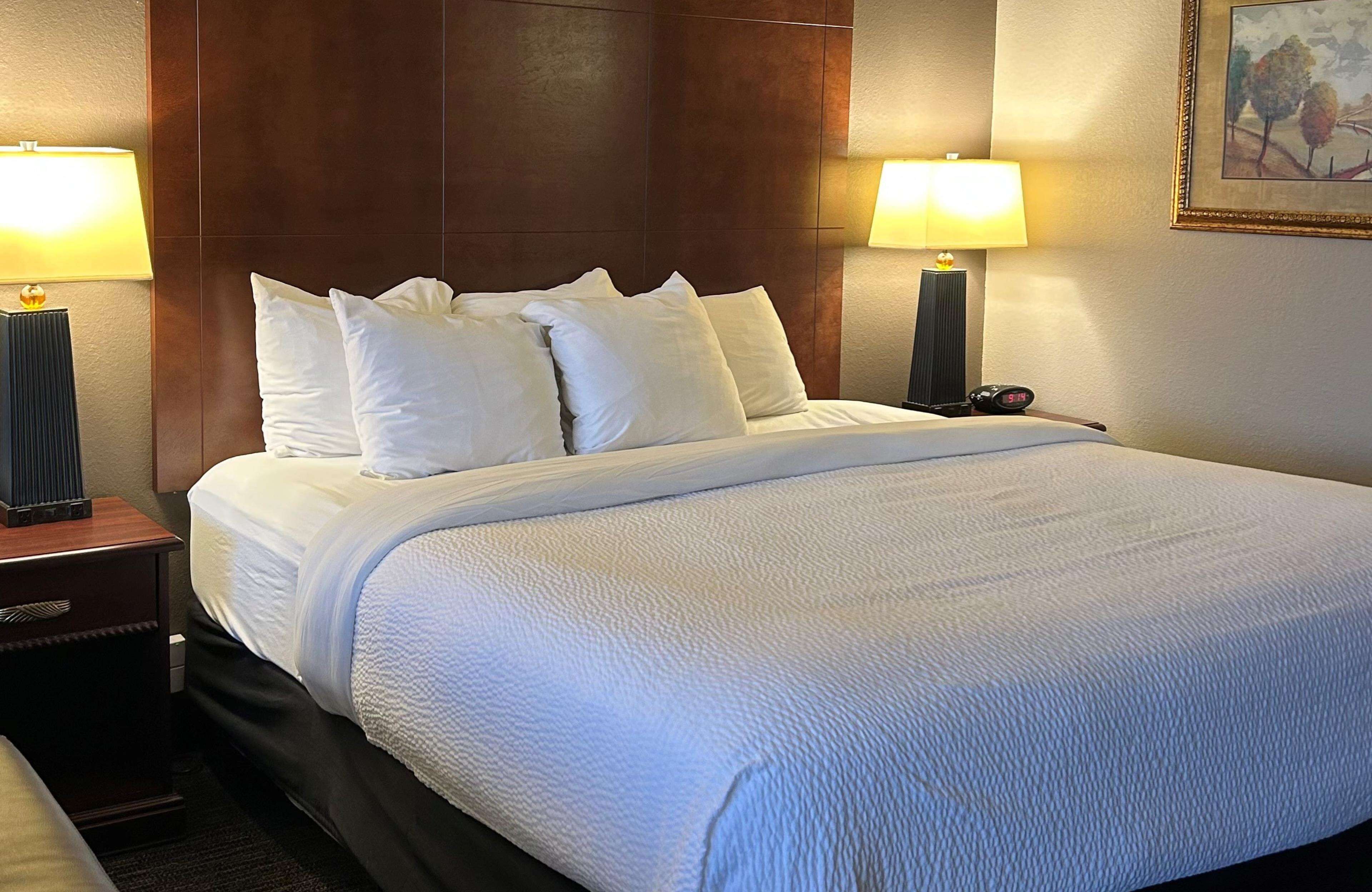 A hotel room with a large bed, two bedside tables, and two lamps.