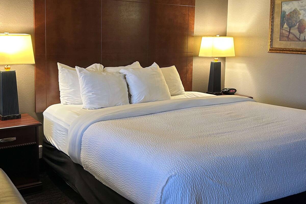 Una habitación de hotel con una cama grande, dos mesitas de noche y dos lámparas.