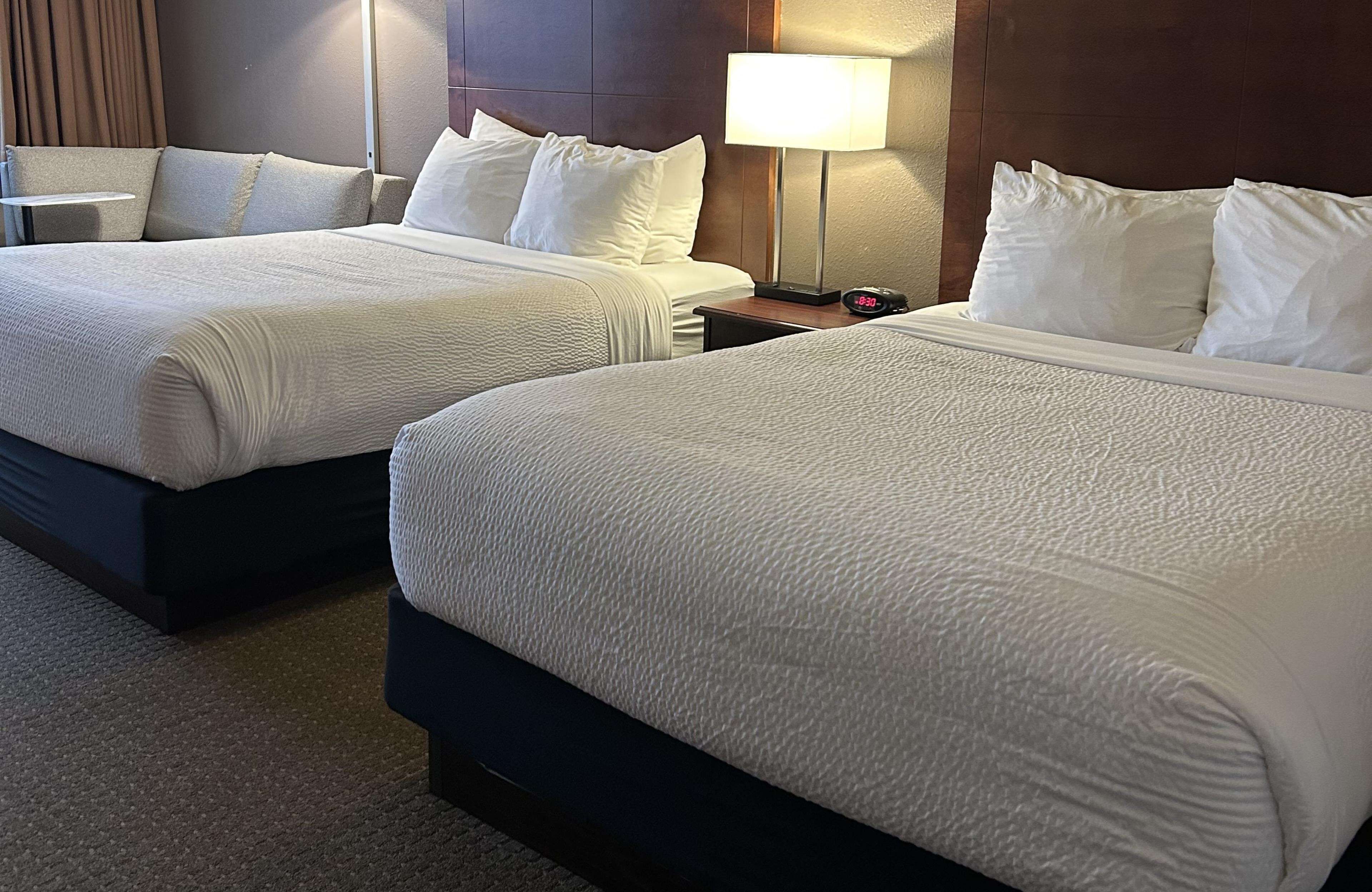 Two double beds with white linens, a bedside table with a lamp, and a clock.