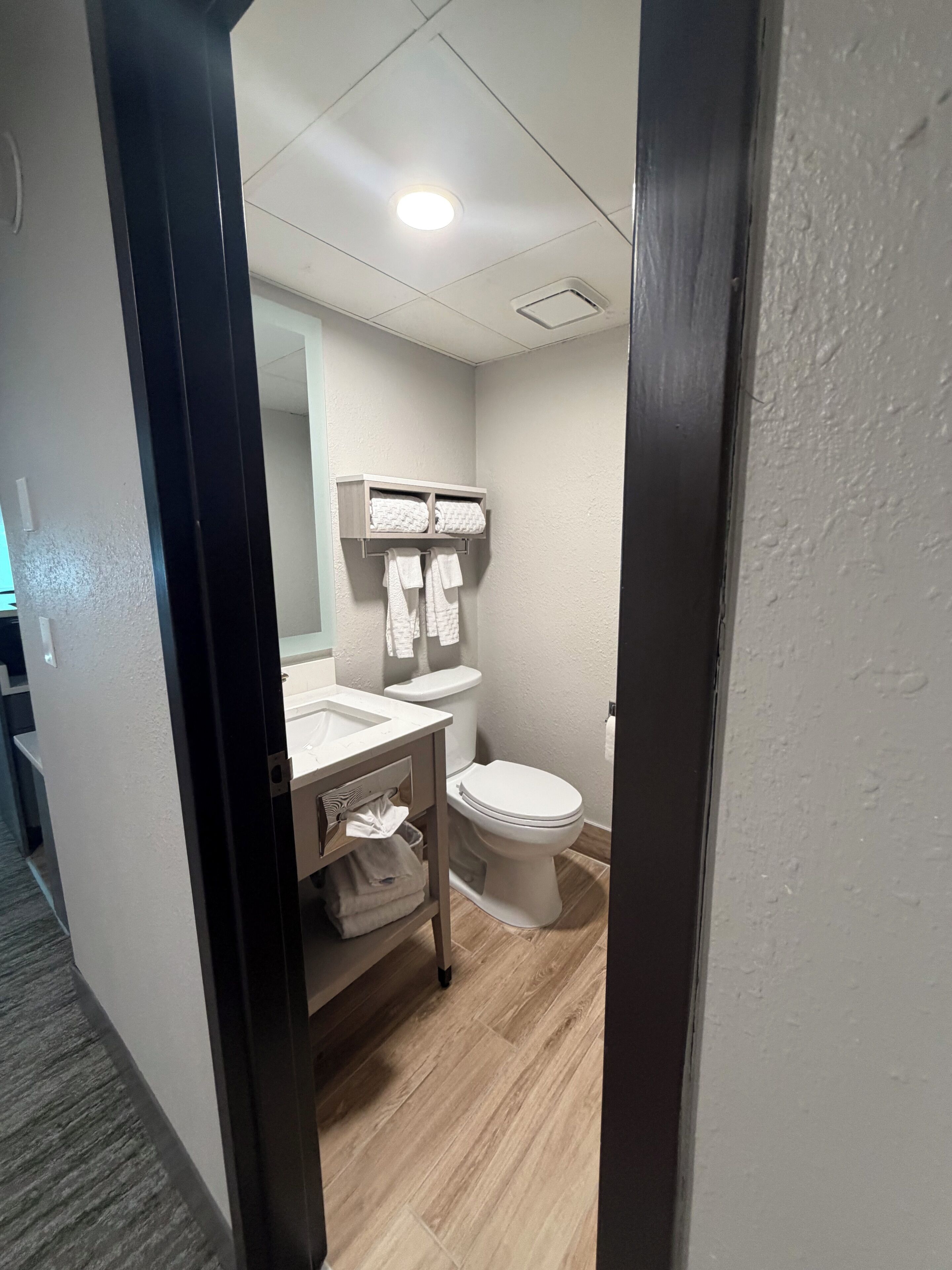 A bathroom with a toilet, sink, and towel rack.