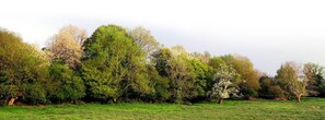 Ecotours