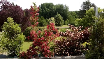 Jardín