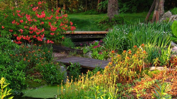 A garden with a wooden bridge, various plants, and a pond. - Logis Hôtel la Maison Carrée (Mereville)