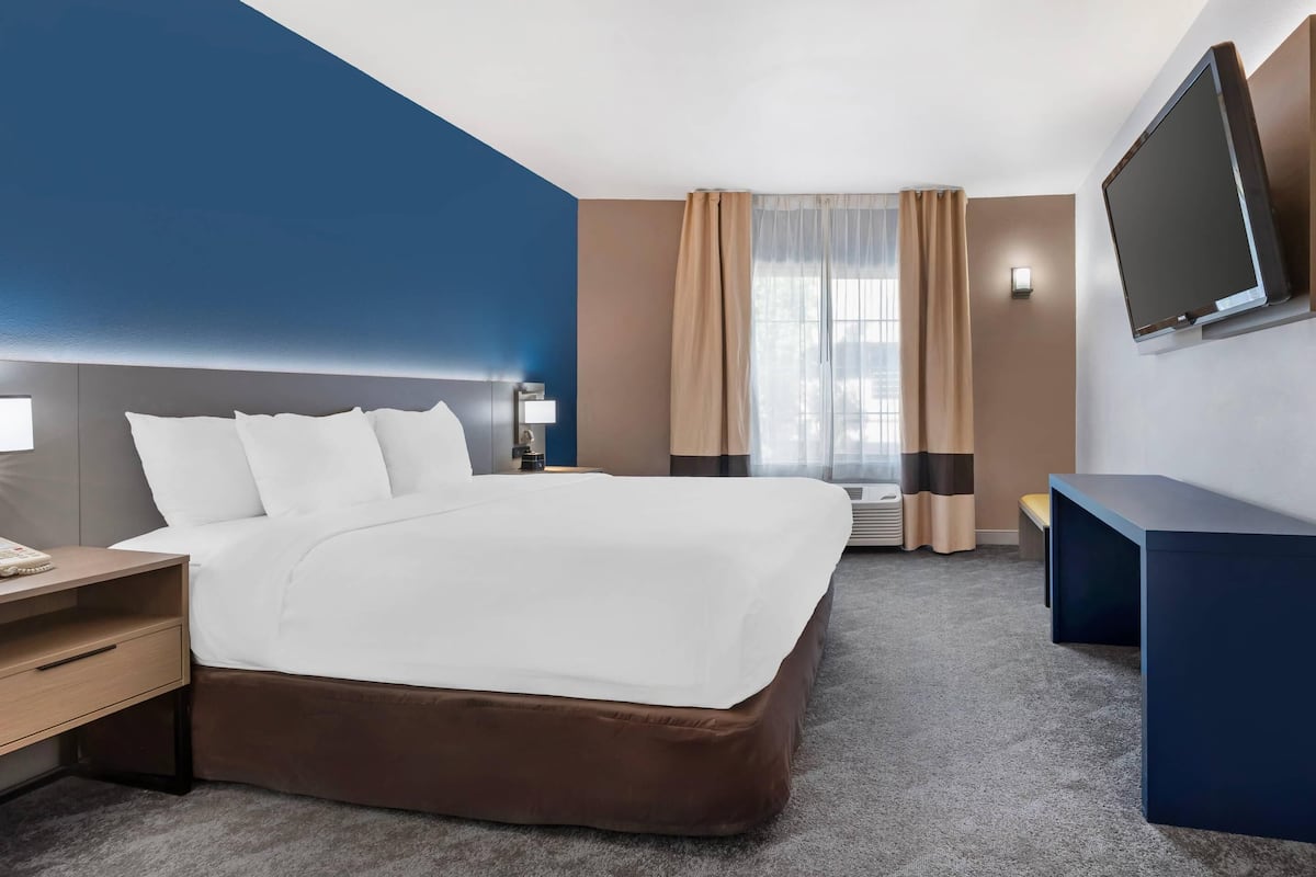 Ropa de cama de alta calidad, escritorio y cortinas blackout