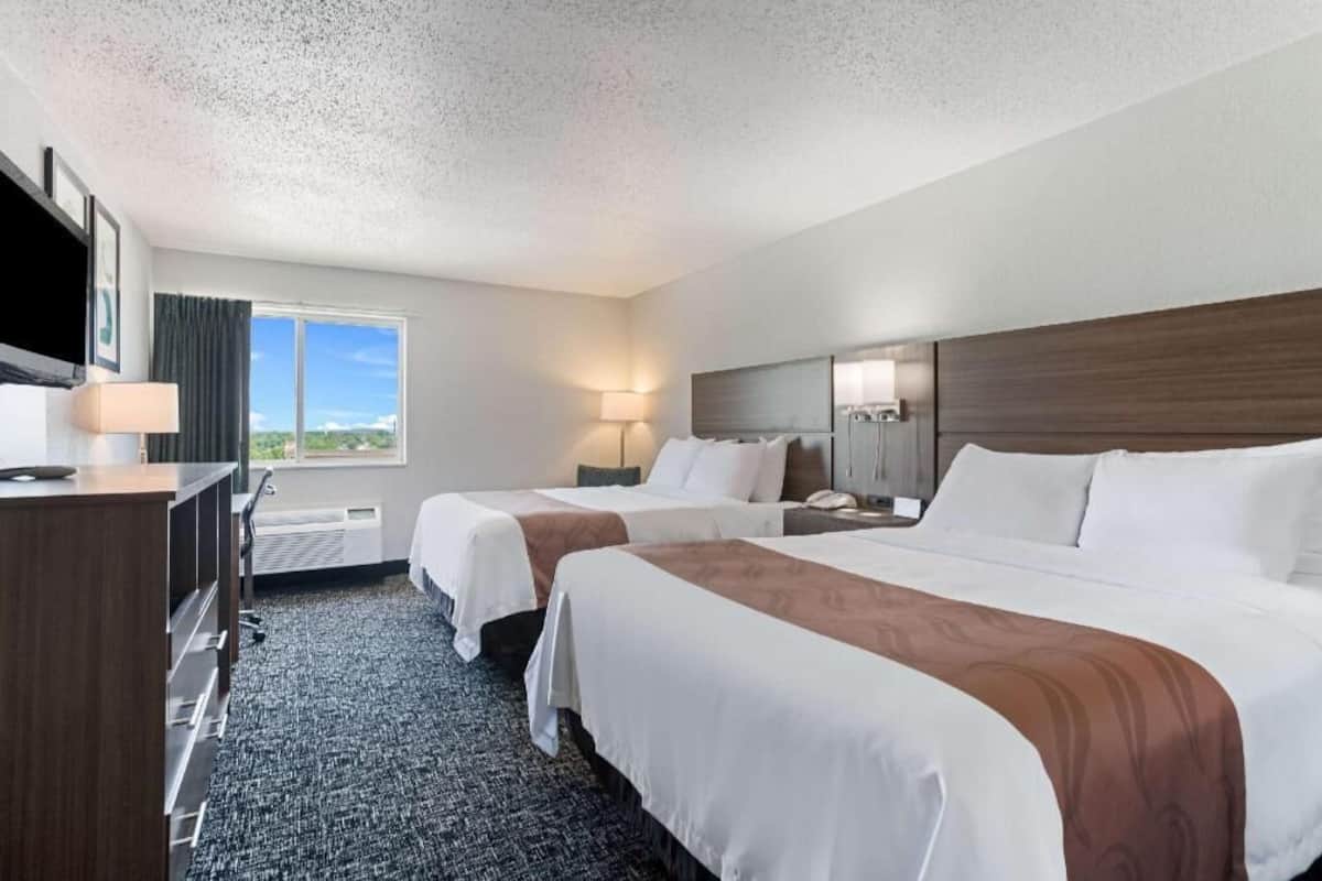 Desk, free cots/infant beds, free WiFi, bed sheets