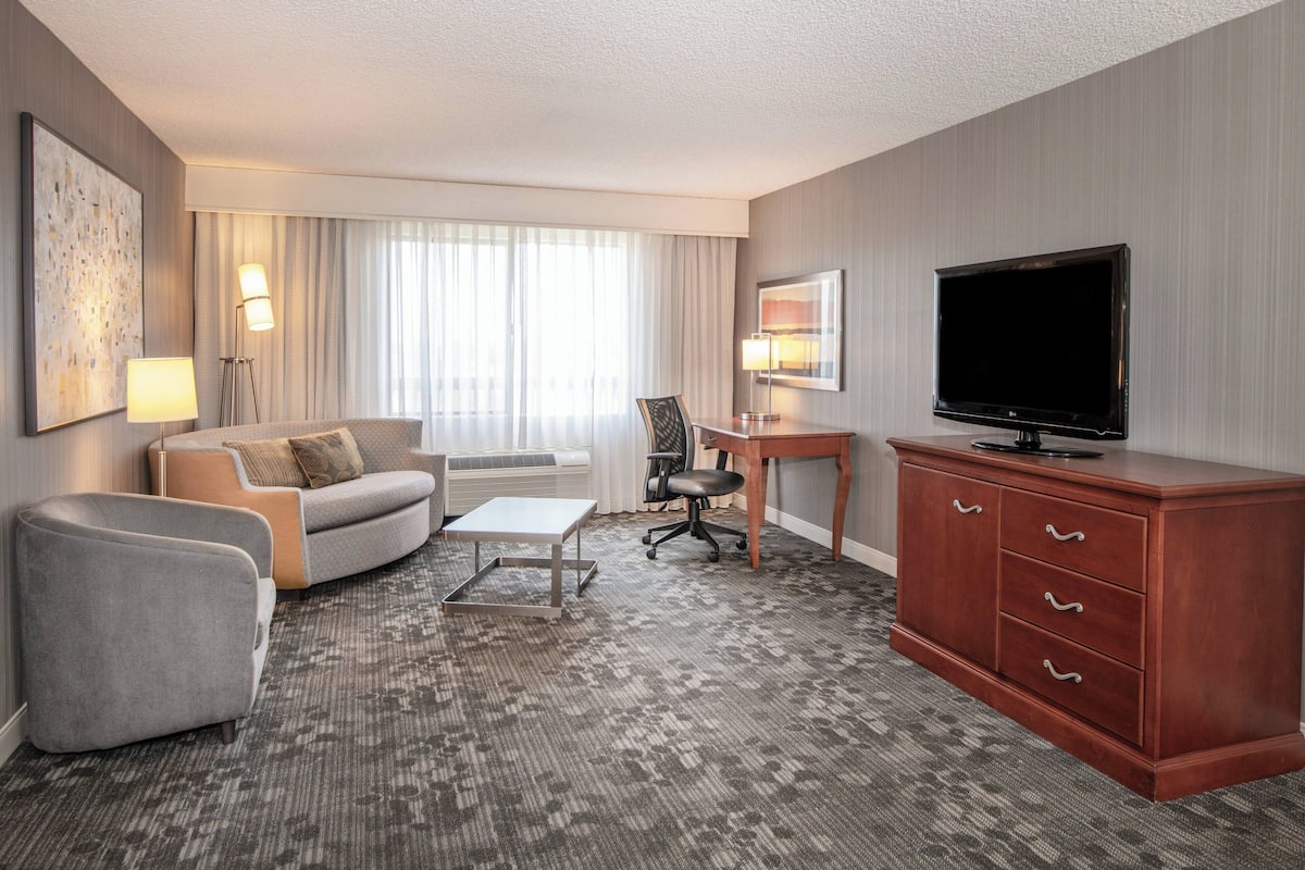 Suite, 1 King Bed with Sofa bed, Non Smoking | Living area | 42-inch LCD TV with cable channels, TV