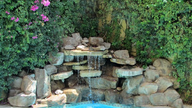 A rock waterfall pool with a clear blue water surface, surrounded by lush greenery and pink flowers. - Best Western Hotel Posada Del Rio Express (Torreón)