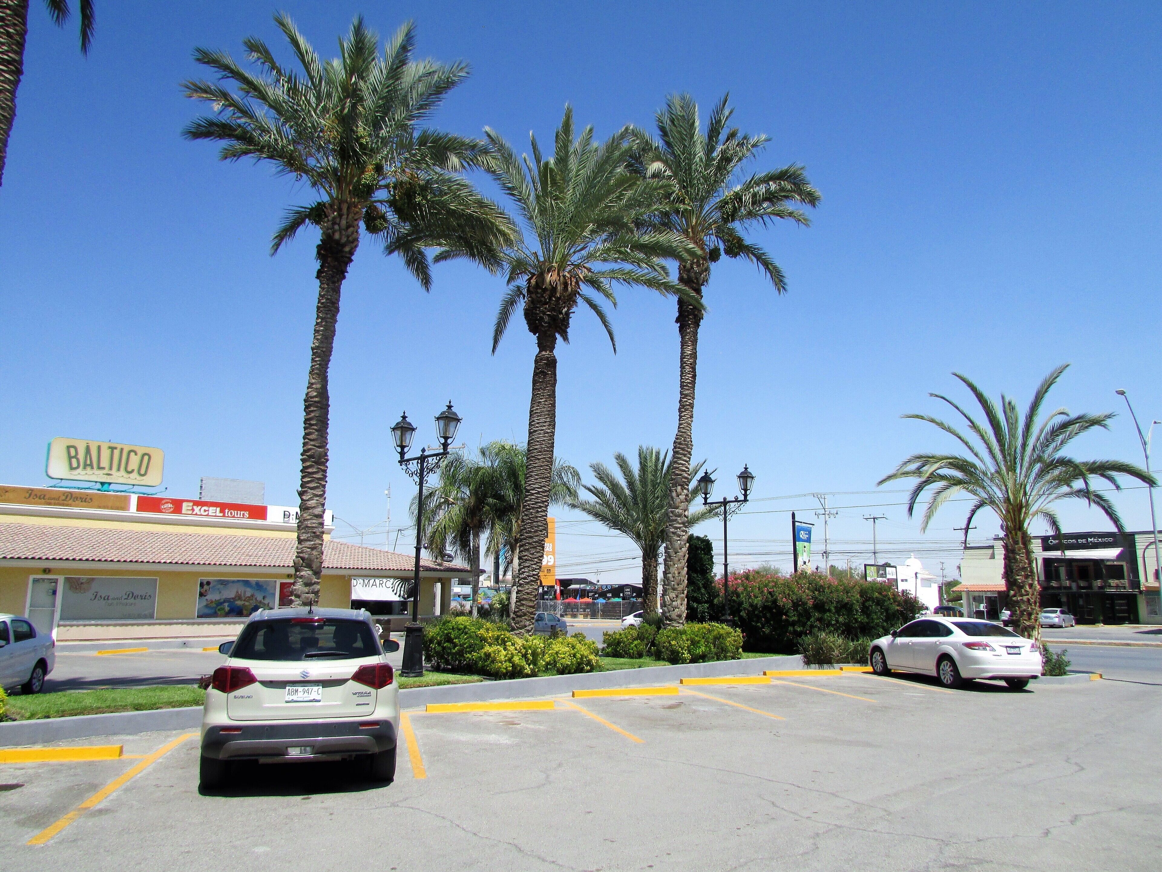 A parking lot with several cars, palm trees, and a Baltico sign.