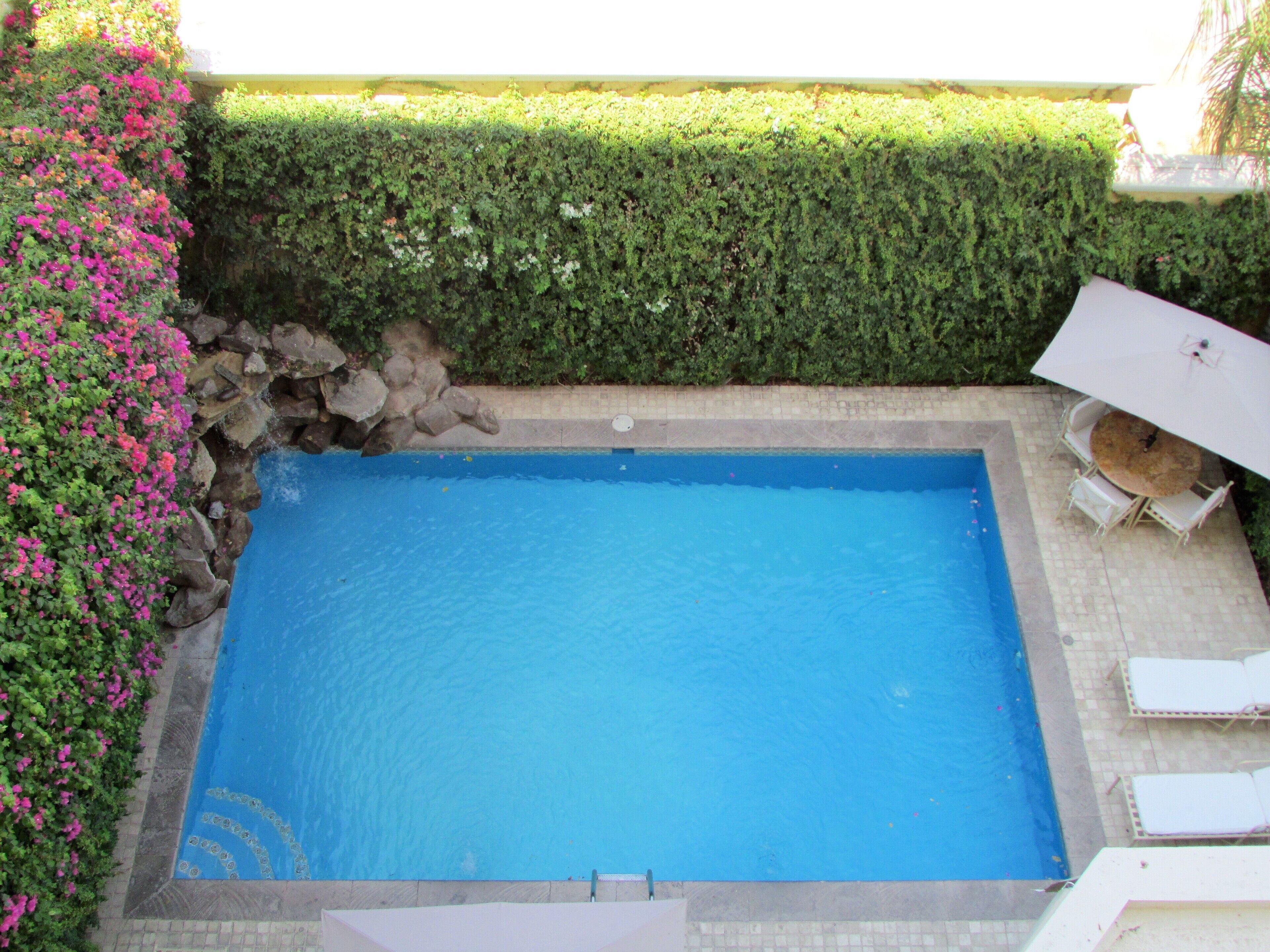 Una piscina rectangular con borde de azulejos, rodeada por un seto bajo y una fila de sillas de descanso blancas.