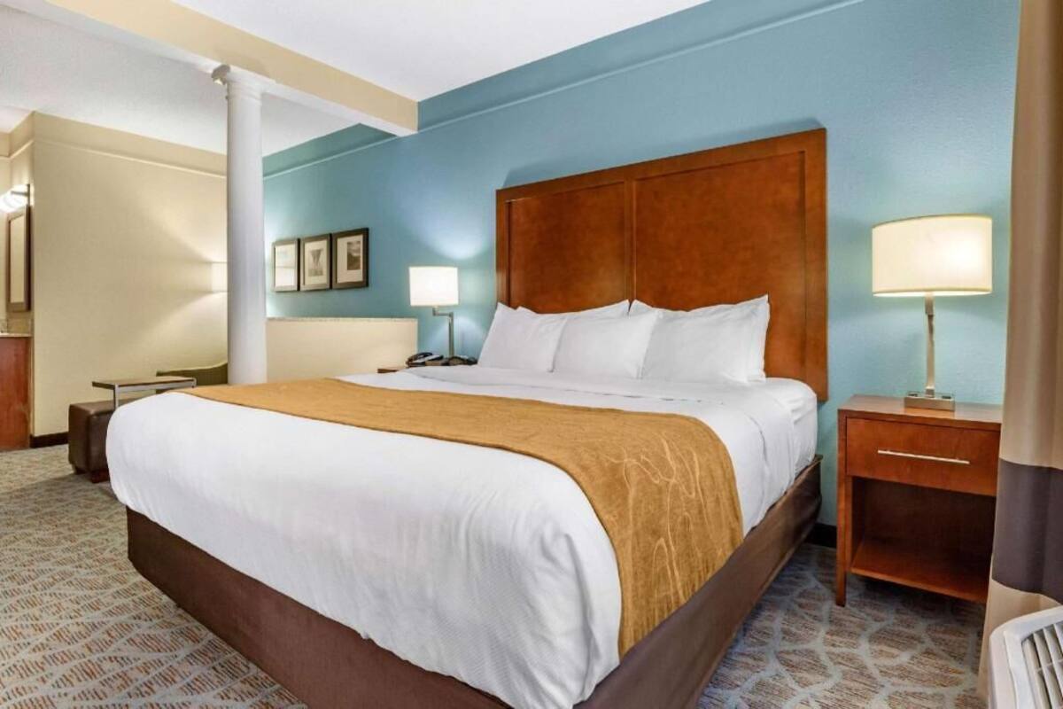 Habitación de hotel con una cama grande, cabecera de madera, mesita de noche con lámpara y piso alfombrado.