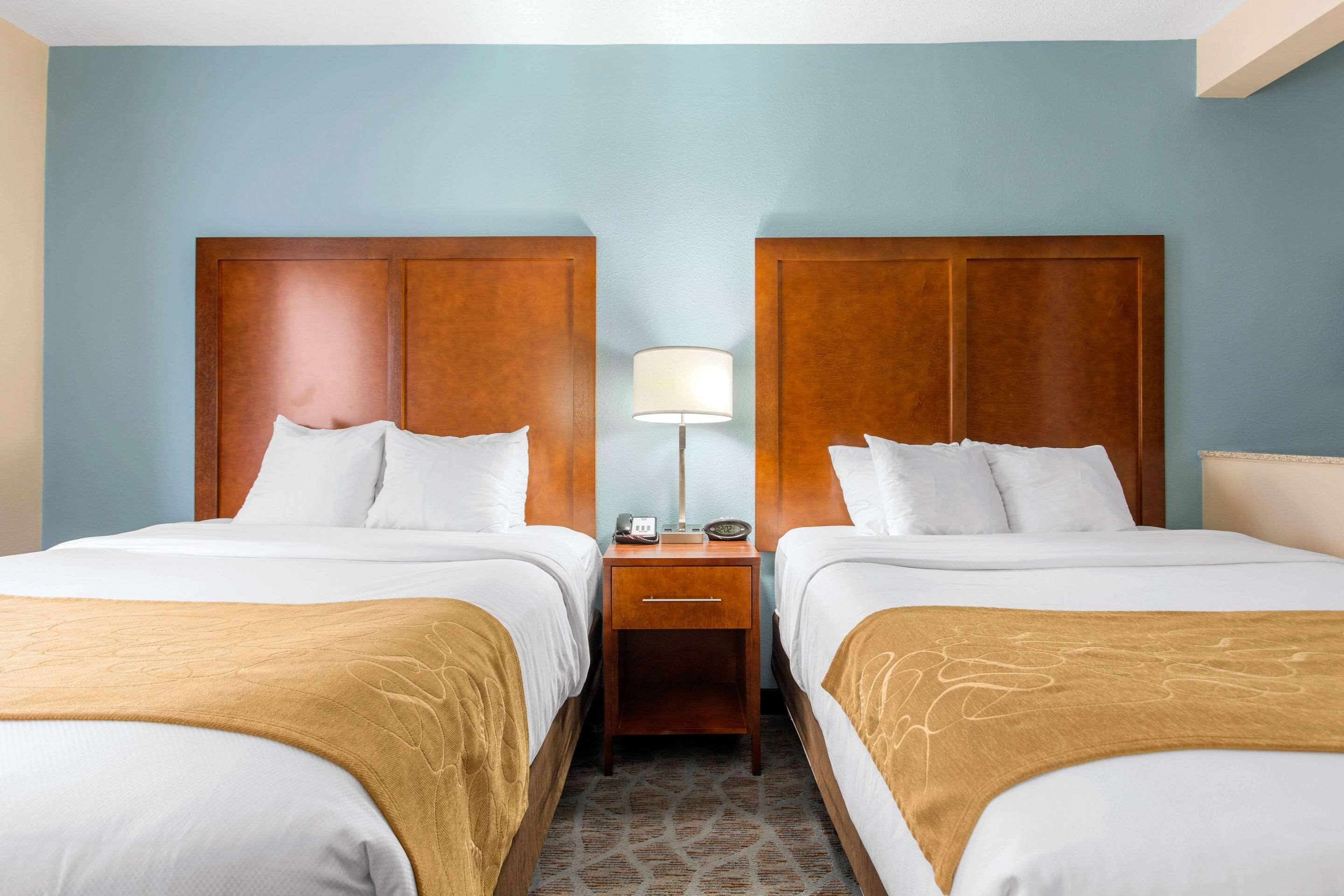 A hotel room with two beds, wooden headboards, a nightstand with a lamp, and a patterned carpet.