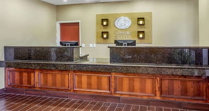 Comfort Suites Plainview