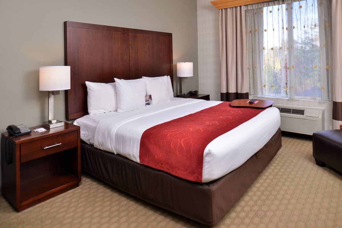 Ropa de cama de alta calidad, camas con pillow-top y escritorio