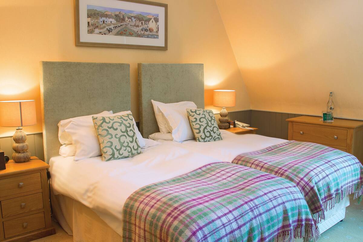 A double bed with two pillows, a bedside table with a lamp, a nightstand with a tissue box, and a wooden dresser with a bottle.