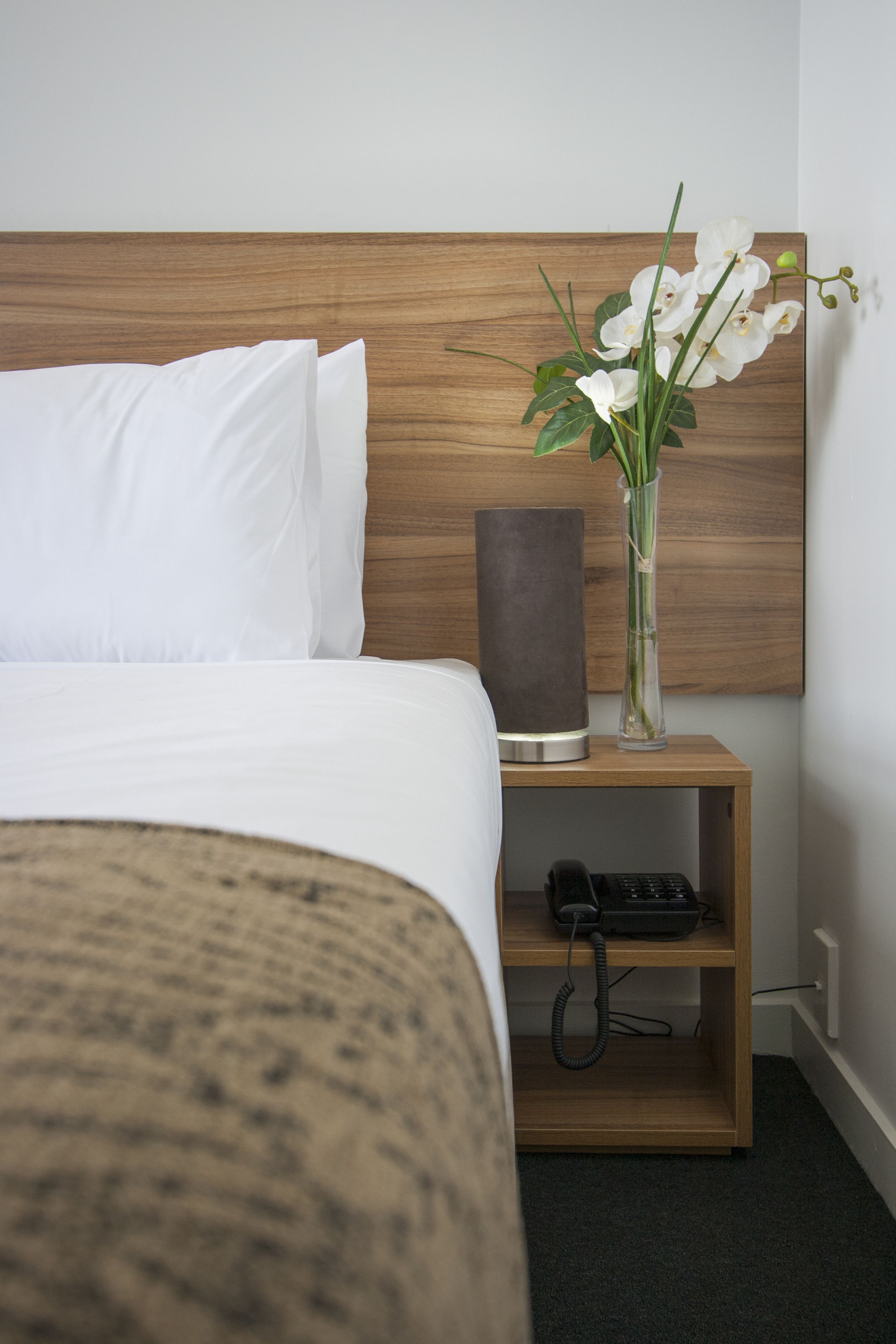 Photo - Ascotia Off Queen