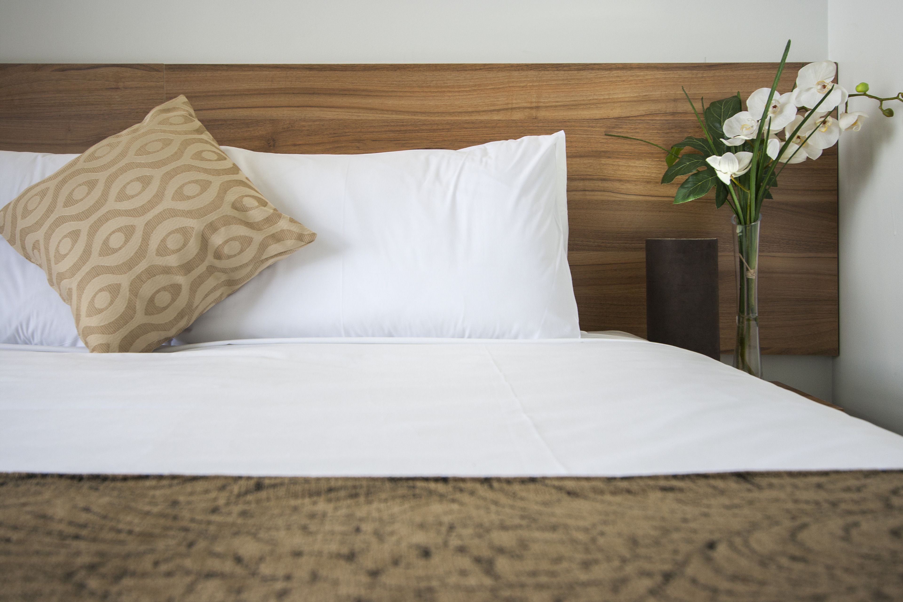 Photo - Ascotia Off Queen