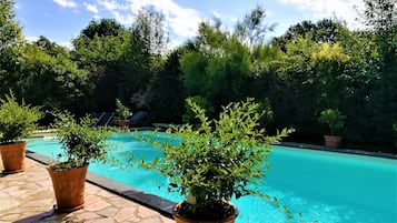 Outdoor pool, open 9 AM to 7 PM, pool loungers