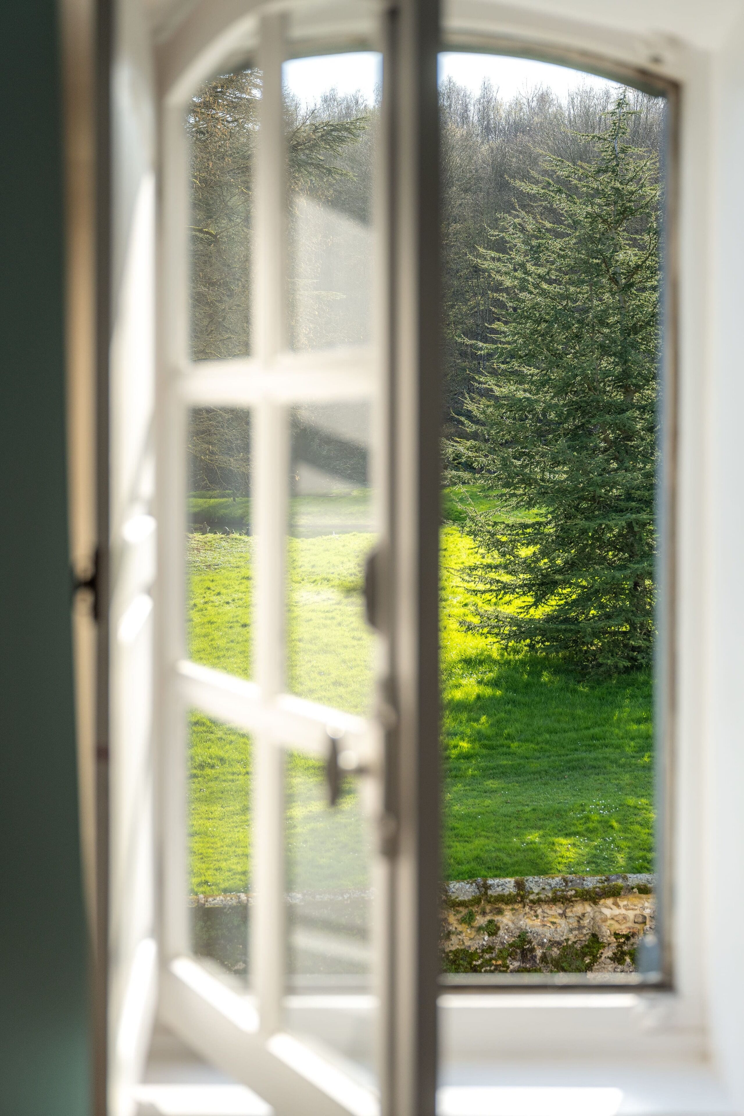 Ein Fenster mit Blick auf eine grüne Landschaft und Bäume.