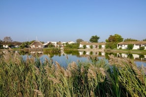 Pesca