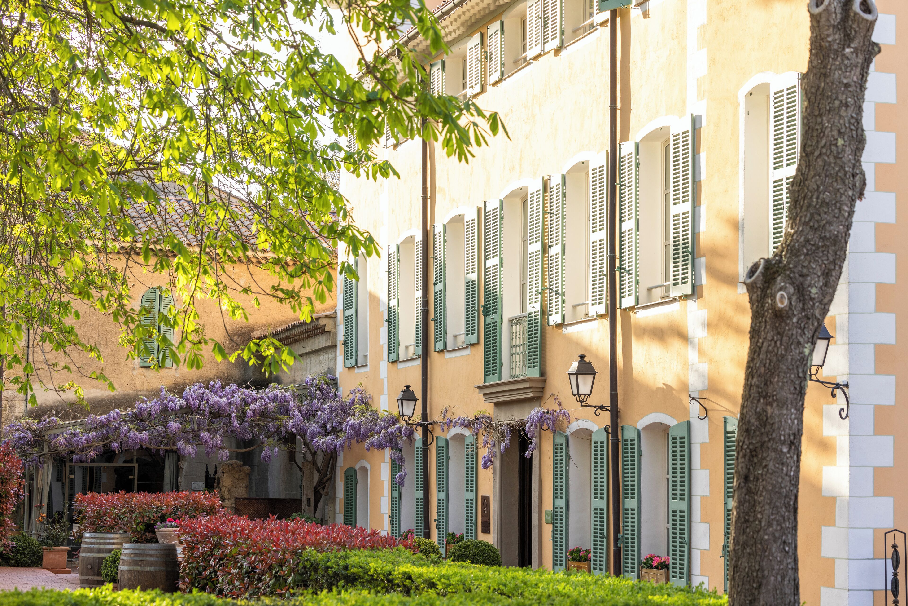 Un edificio con contraventanas verdes, un jardín con flores rojas y enredaderas de glicina morada.