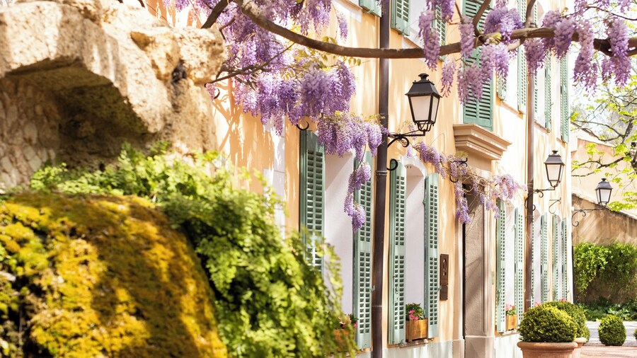 Hostellerie de l'Abbaye de La Celle