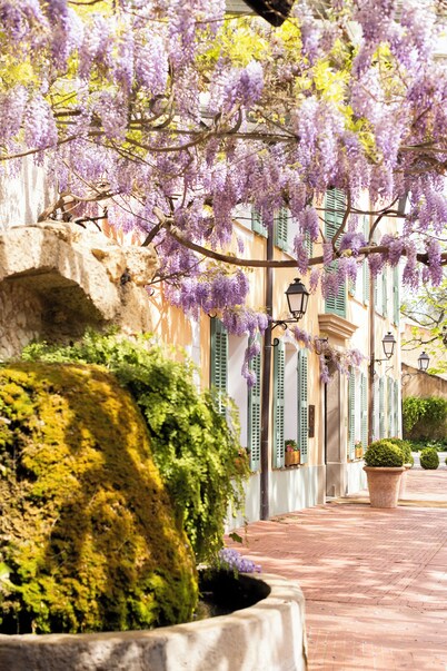 Hostellerie de l'Abbaye de La Celle