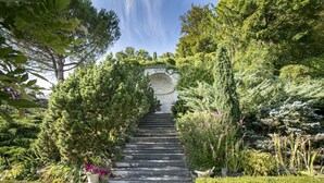A stone staircase leading up to a stone archway surrounded by lush greenery and various plants.