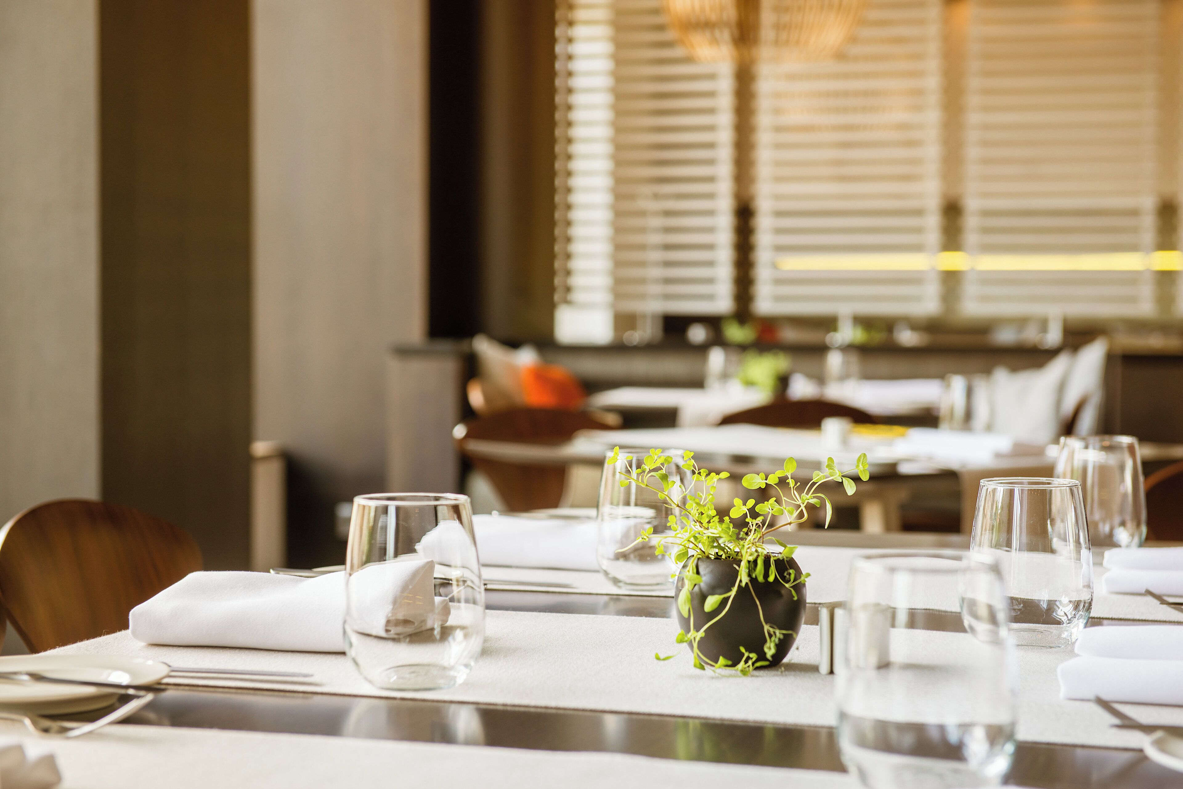 Una mesa de comedor dispuesta con platos, vasos y una pequeña planta en maceta.