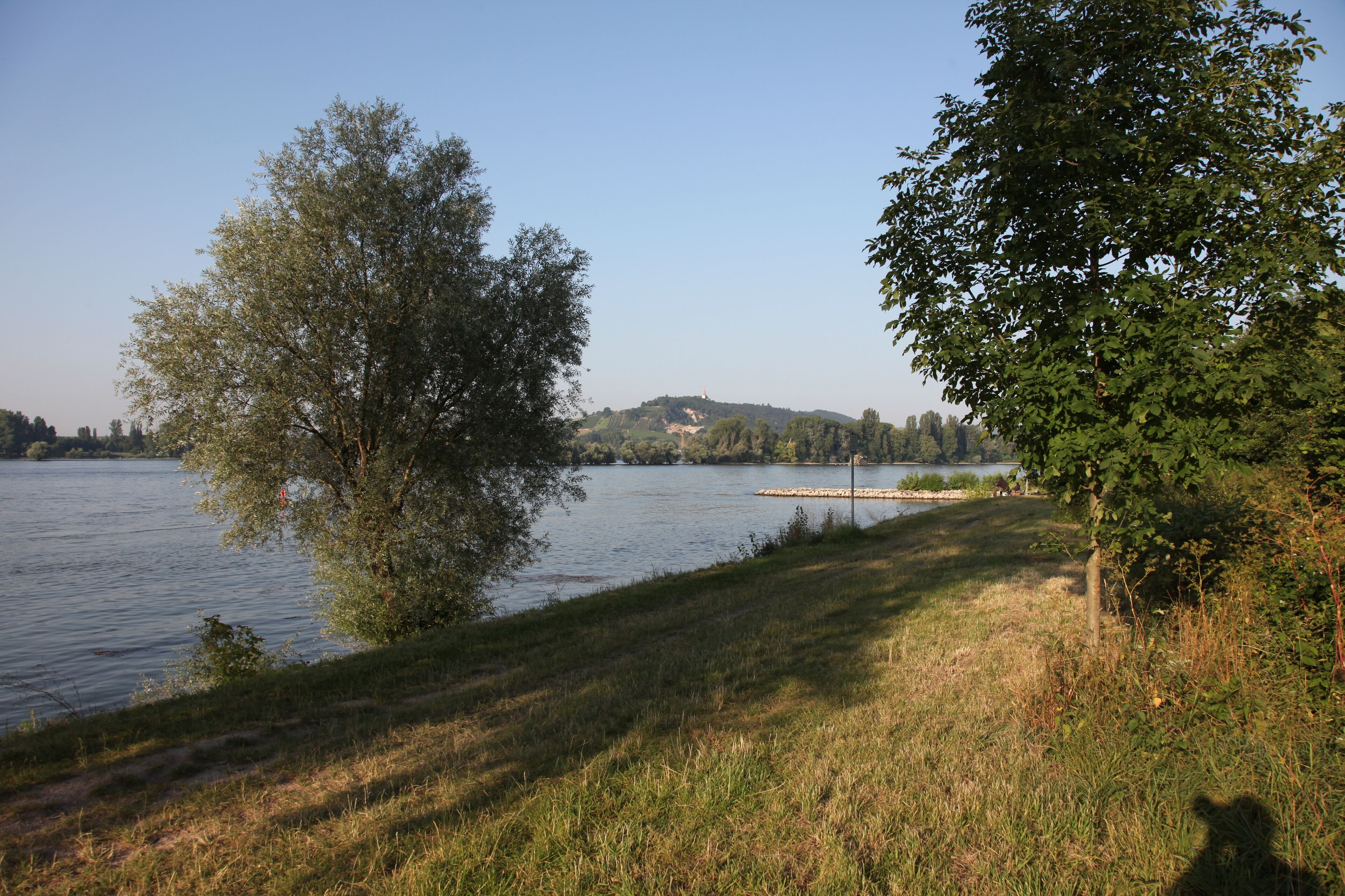 A lakeside view with trees and a distant hill.