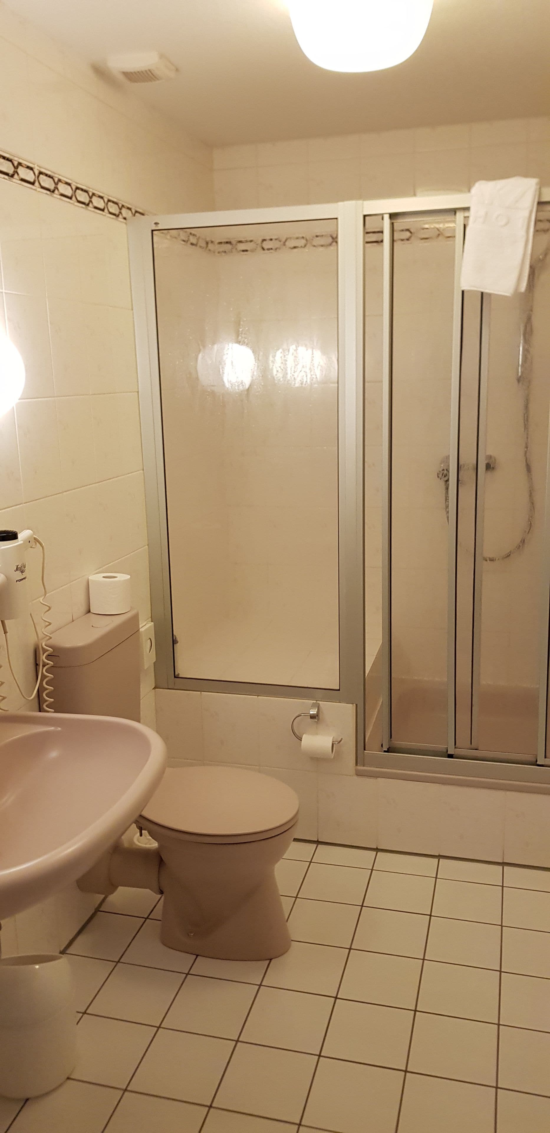 A bathroom with a toilet, sink, and shower enclosure.