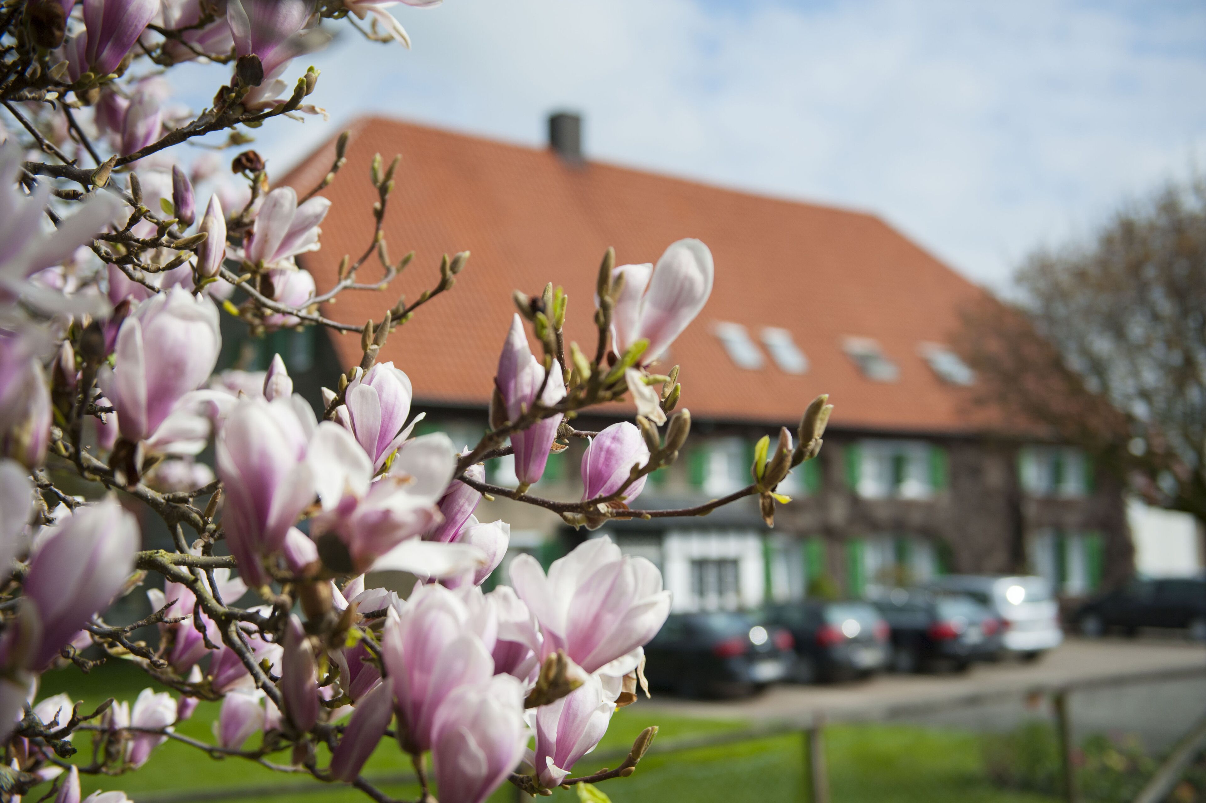 front of property – evening/night