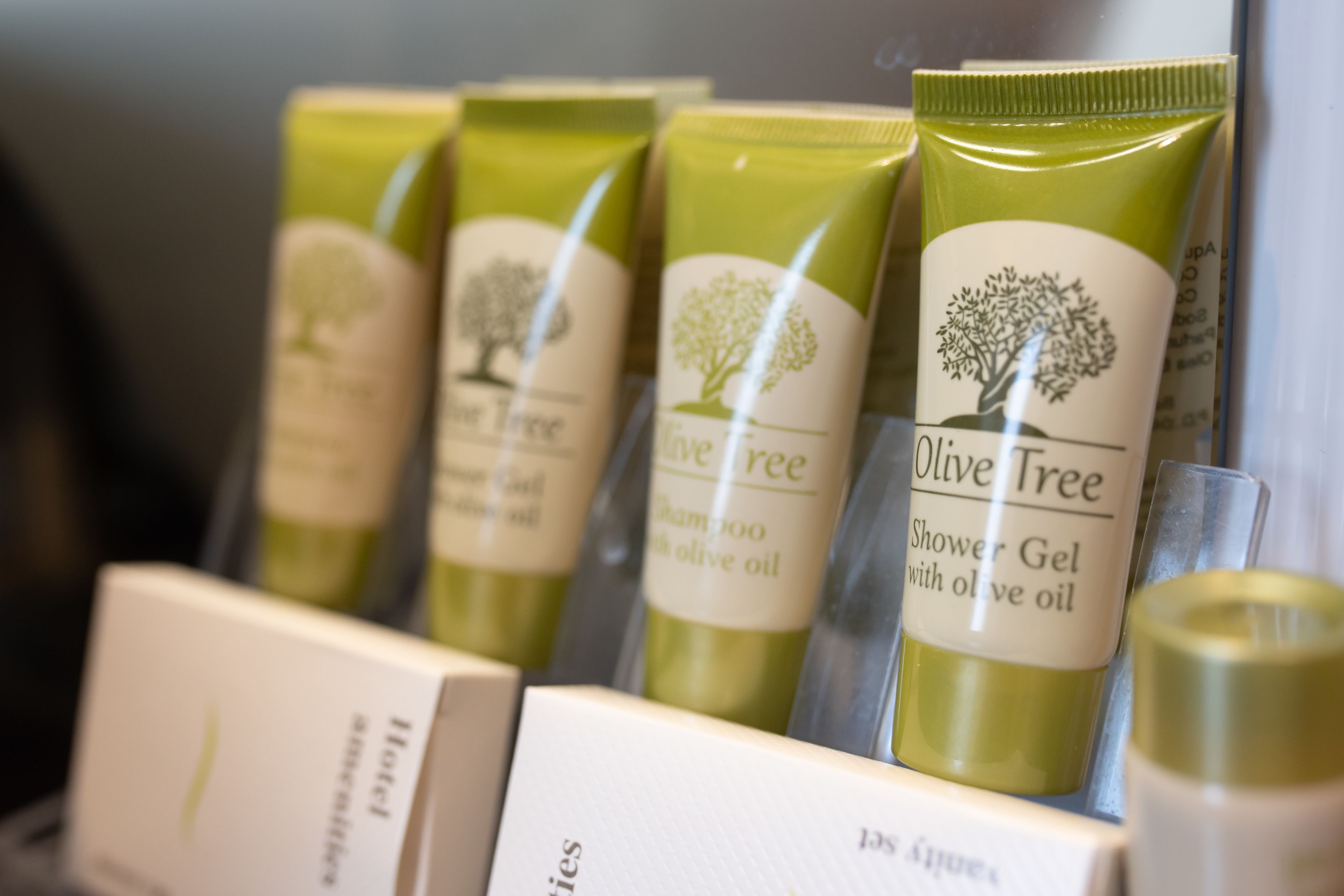 exclusive room | bathroom | free toiletries, hair dryer, towels