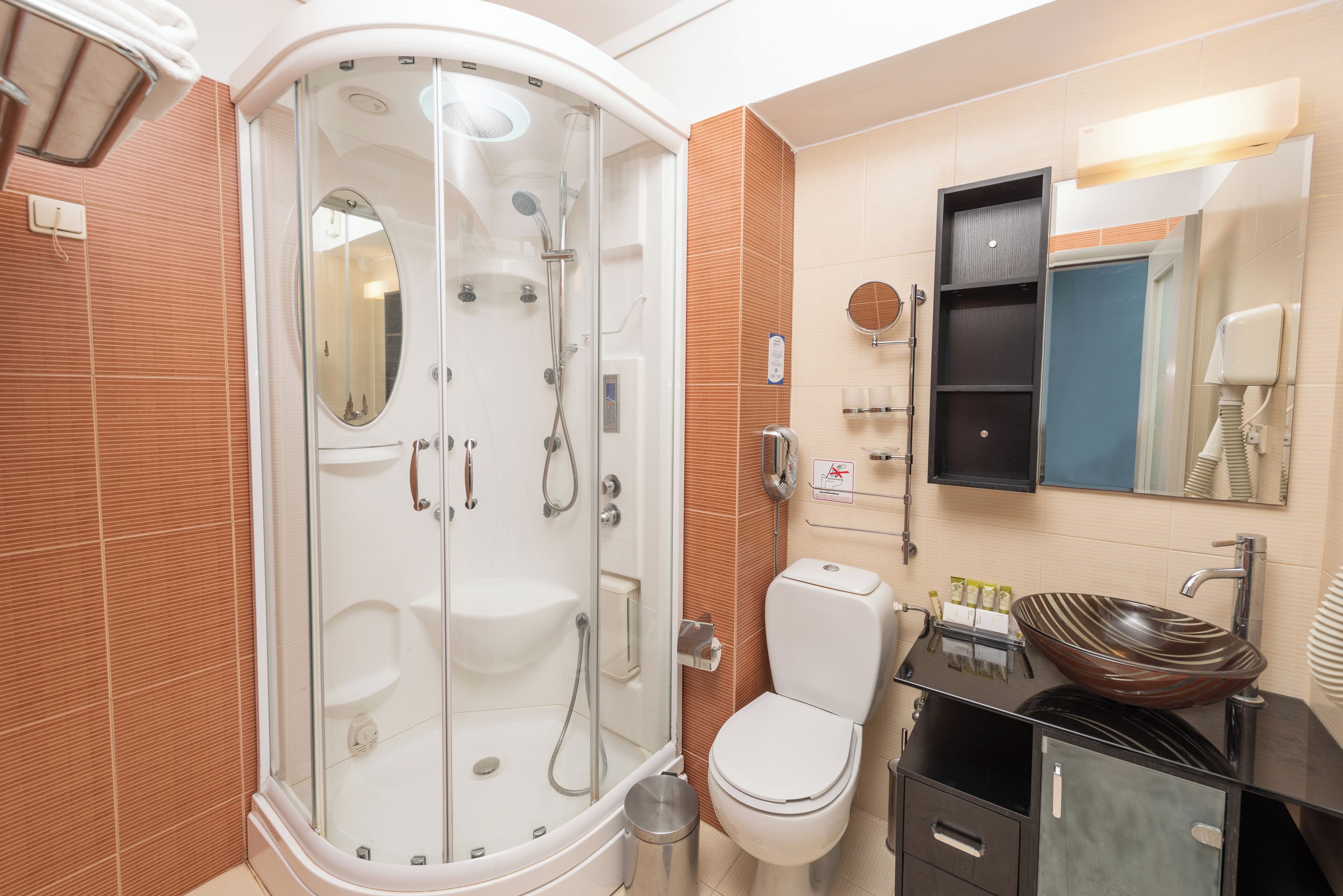 A modern bathroom with a glass-enclosed shower, a white toilet, and a black sink with a decorative bowl.