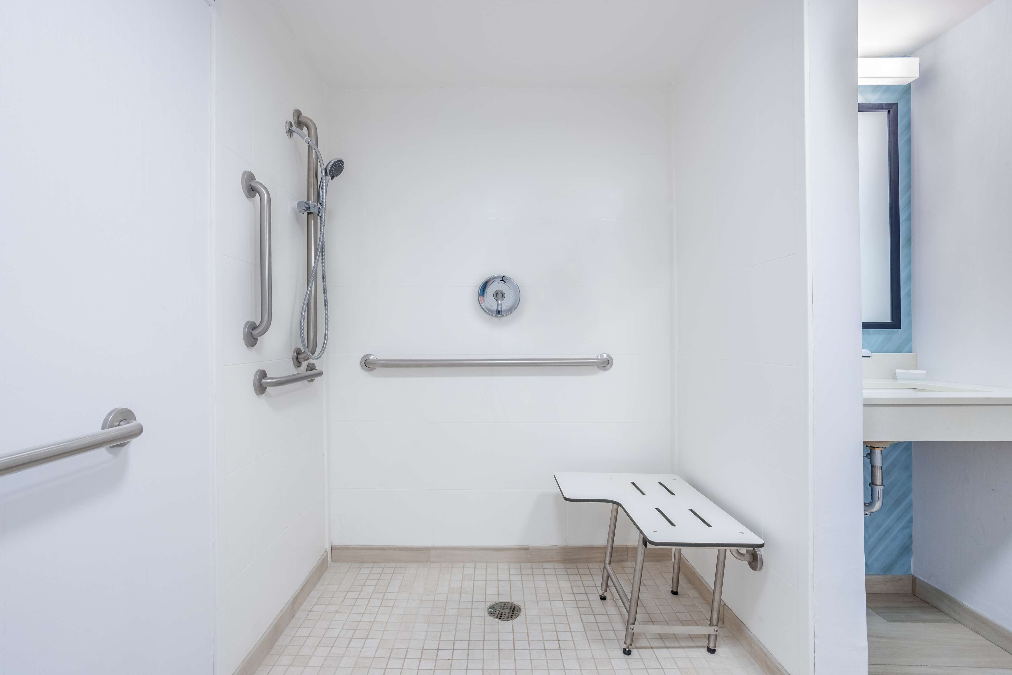 room, 1 king bed, accessible (mobility & hearing, roll-in shower) | bathroom shower