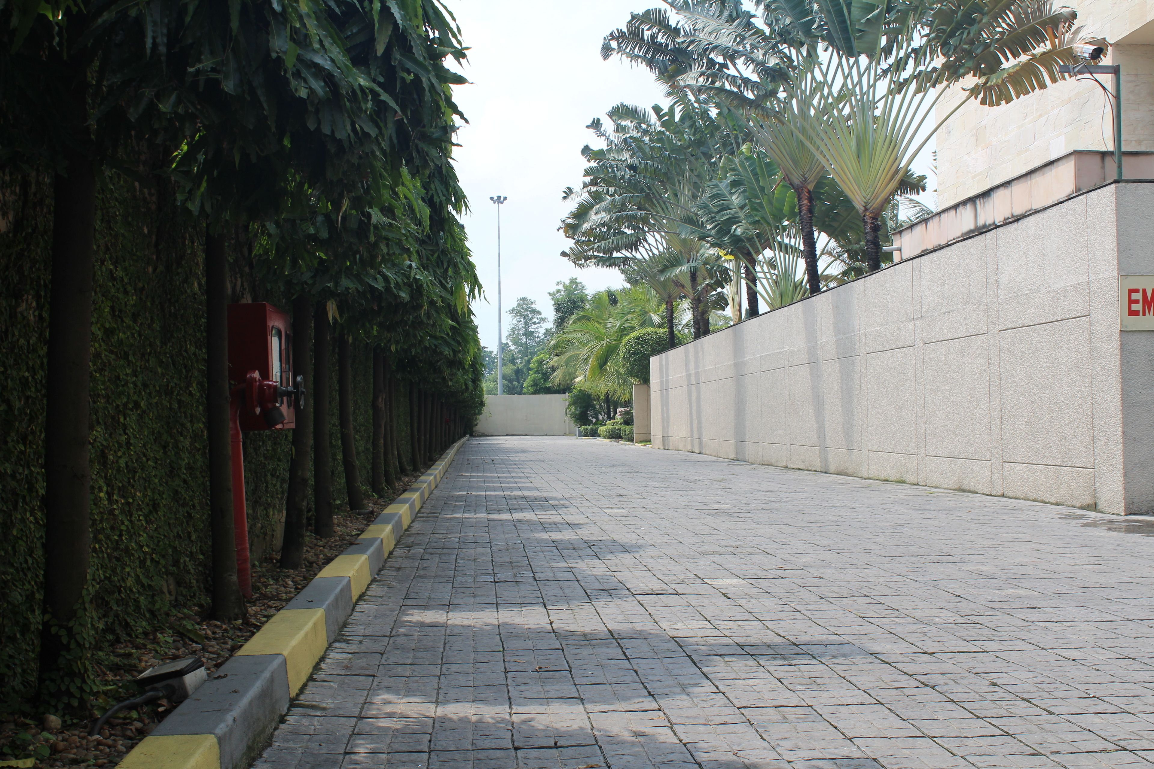 free self-parking, free valet parking