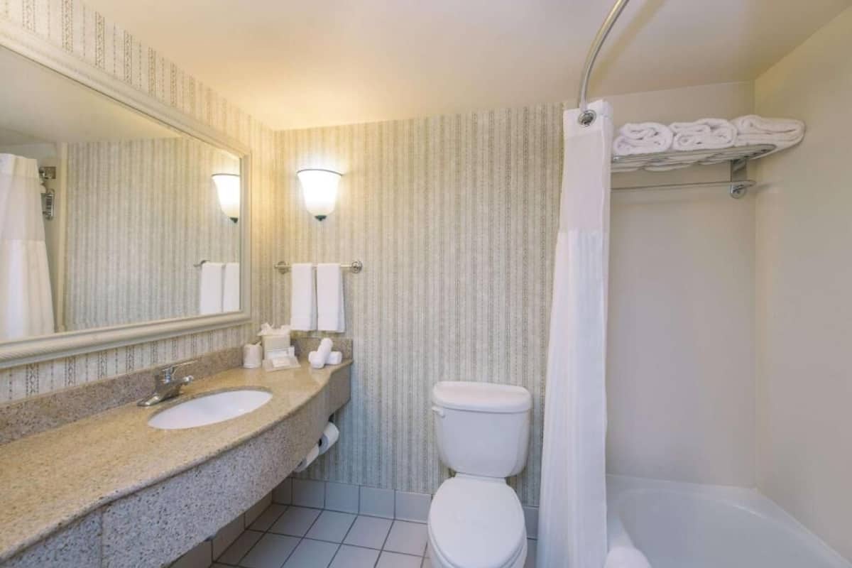A bathroom with a sink, toilet, and shower curtain.