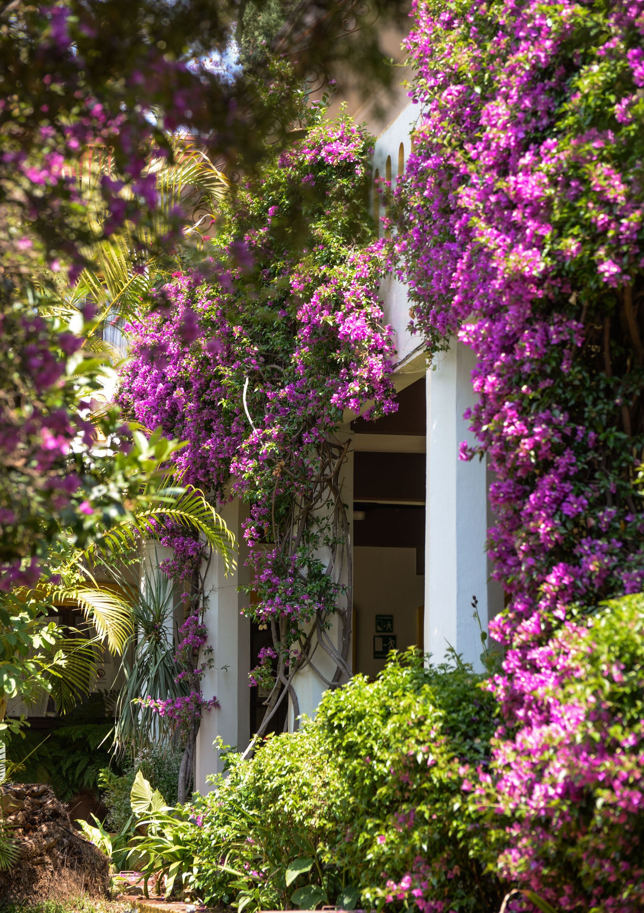 Foto - Hotel Hacienda Los Laureles