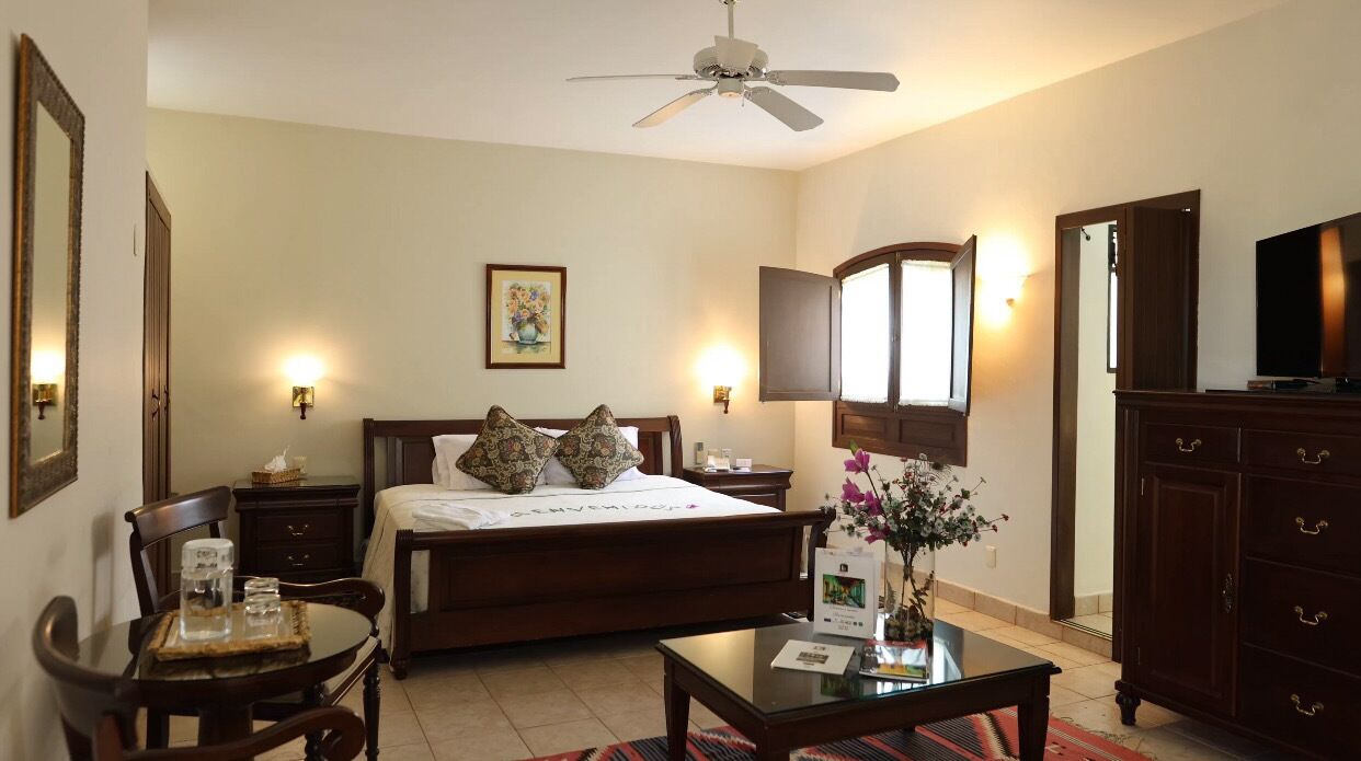 junior suite, 1 king bed, bathtub | 1 bedroom, minibar, in-room safe, individually furnished