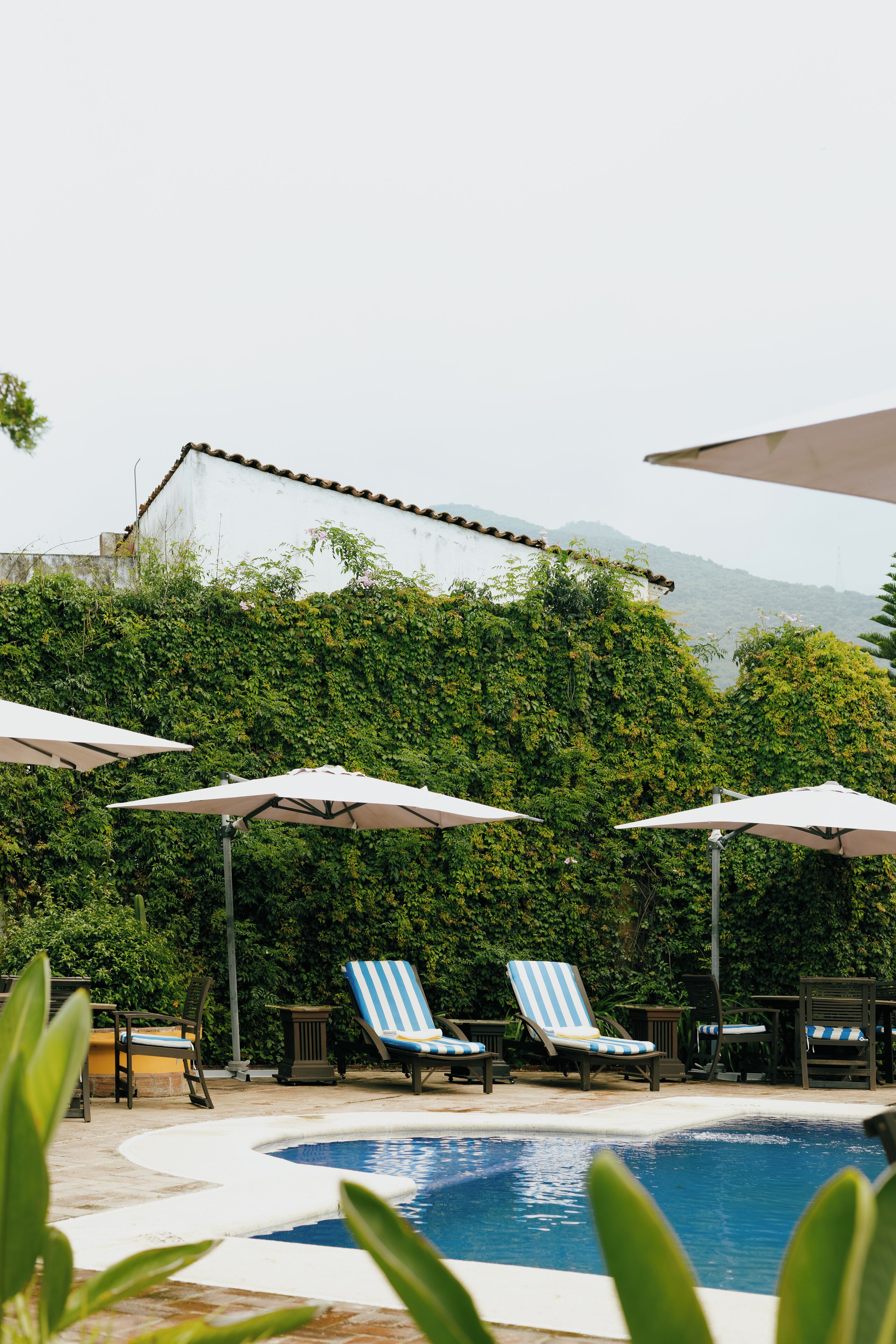 Foto - Hotel Hacienda Los Laureles