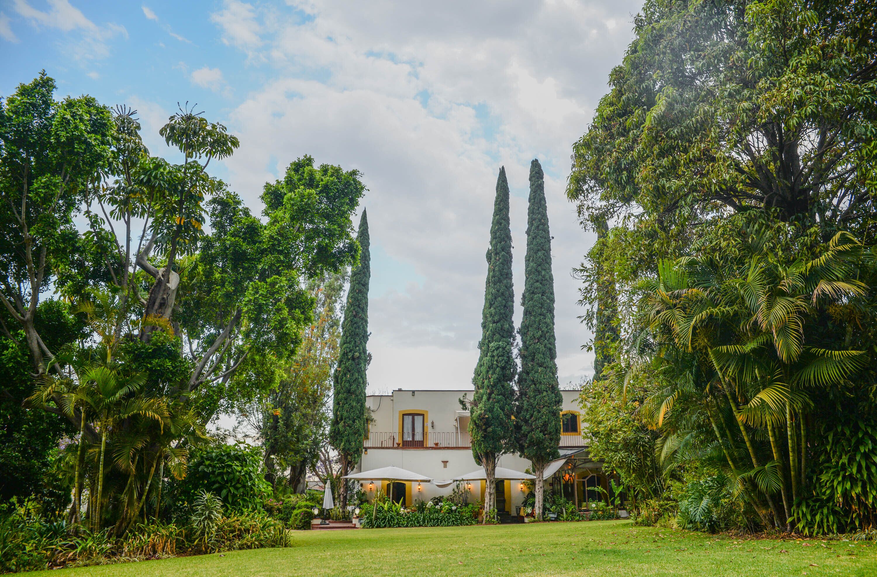 A lush garden with tall trees and a building with a balcony.